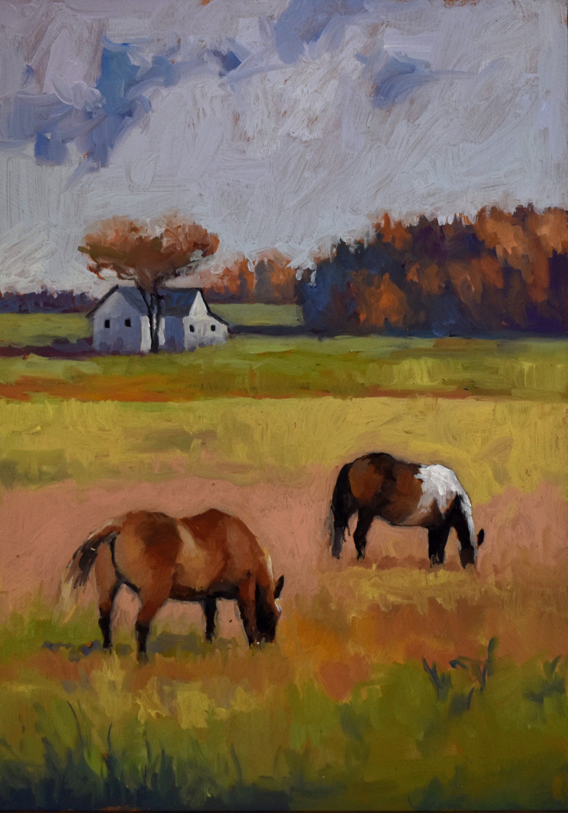 Grazers by Sandra Langston