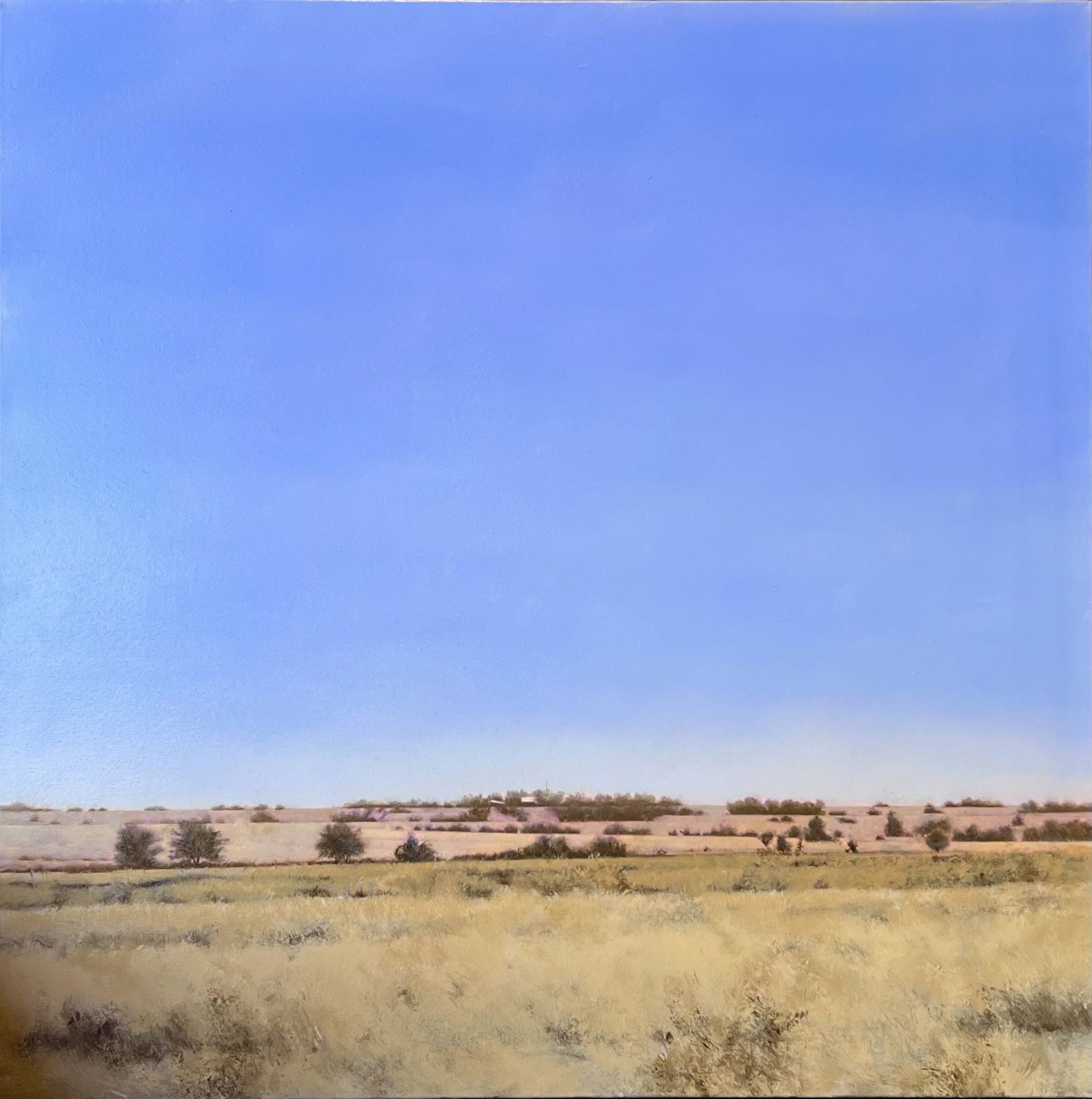 East Texas Landscape, IV by William Wahlgren
