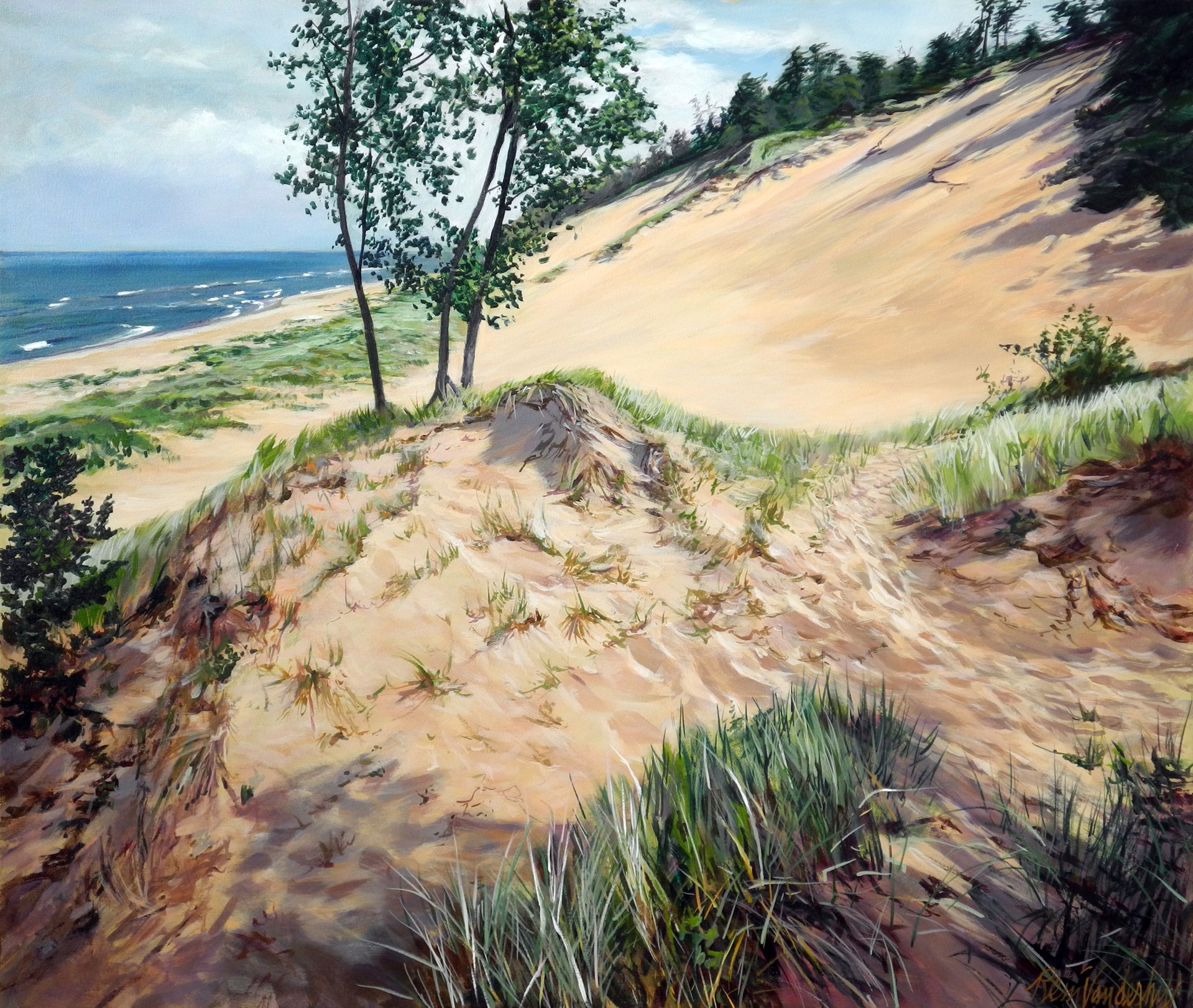 Dune Overlook in Soft Light by Rein Vanderhill