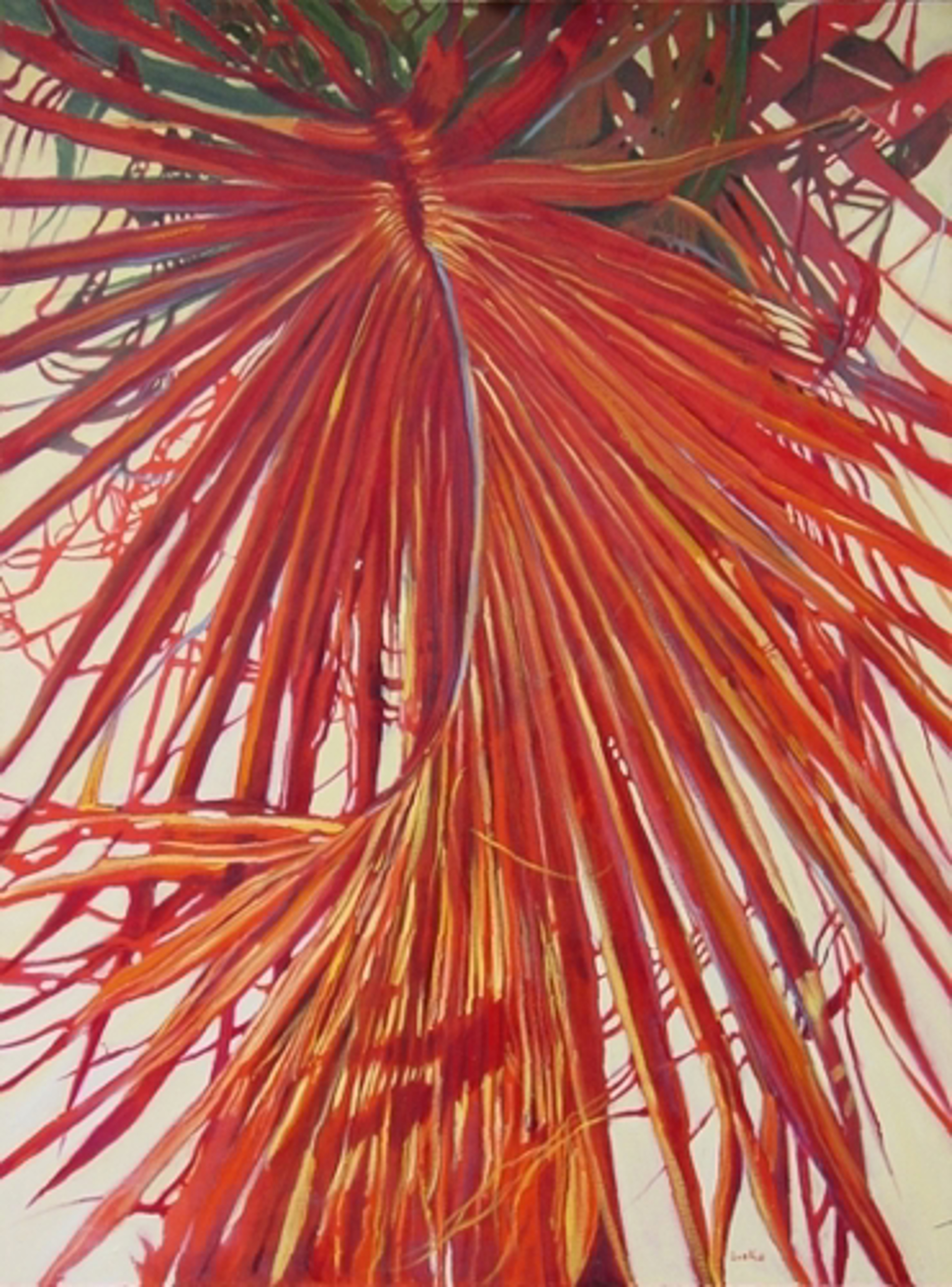 Mysterious Palm by Patricia Madison-Lusk -- Giclee Prints