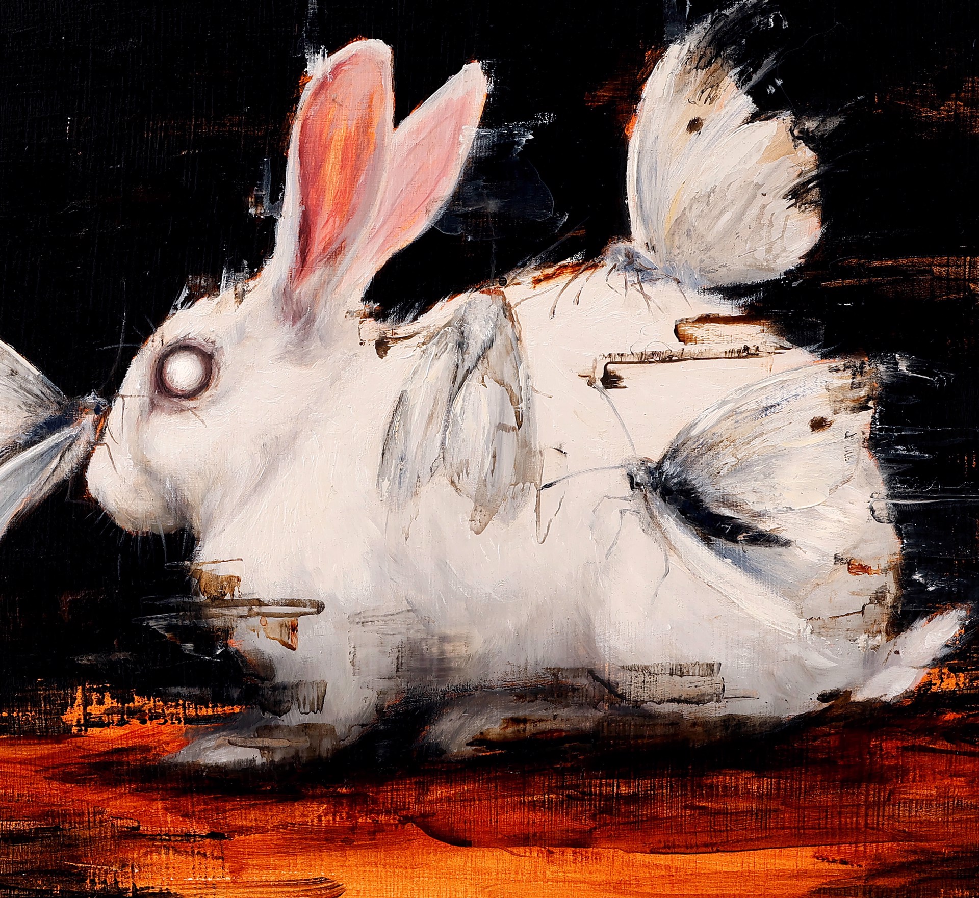 Moth's Delight by Morgan Cameron