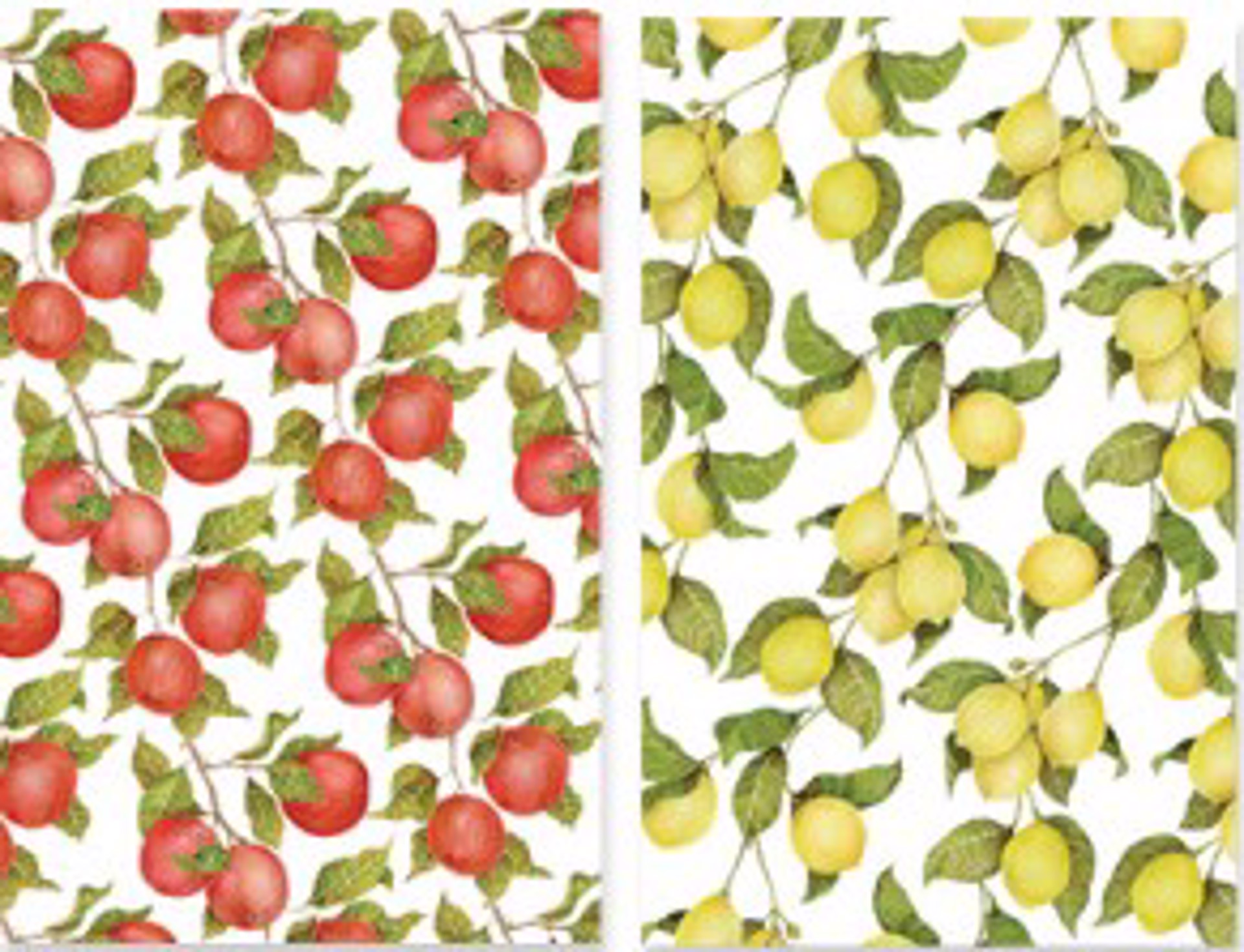 Sarah Rose Lyons- Tea Towel Bundle-  Fruit by GVL CMKT