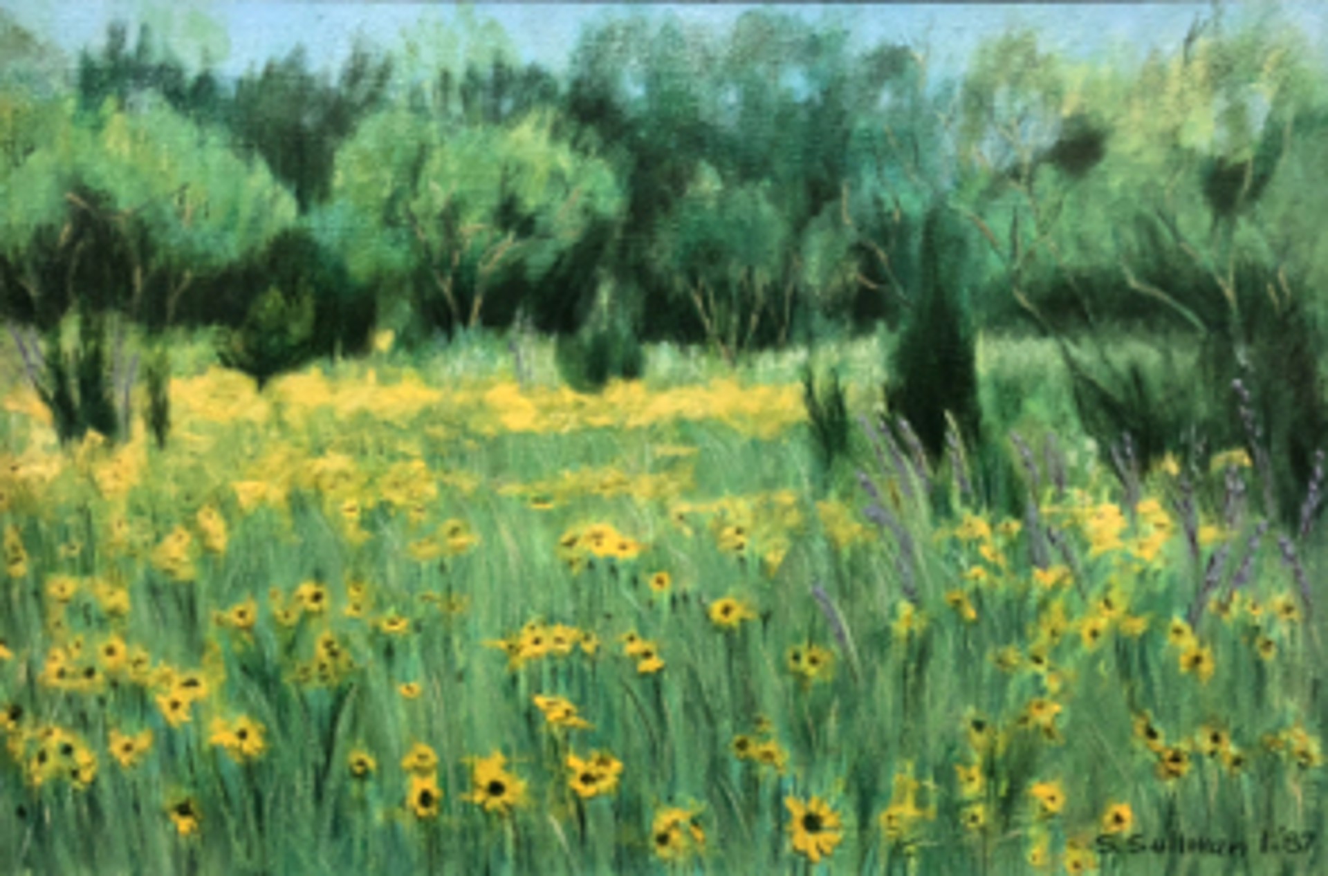 Landscape with Coreopsis by Stella Sullivan