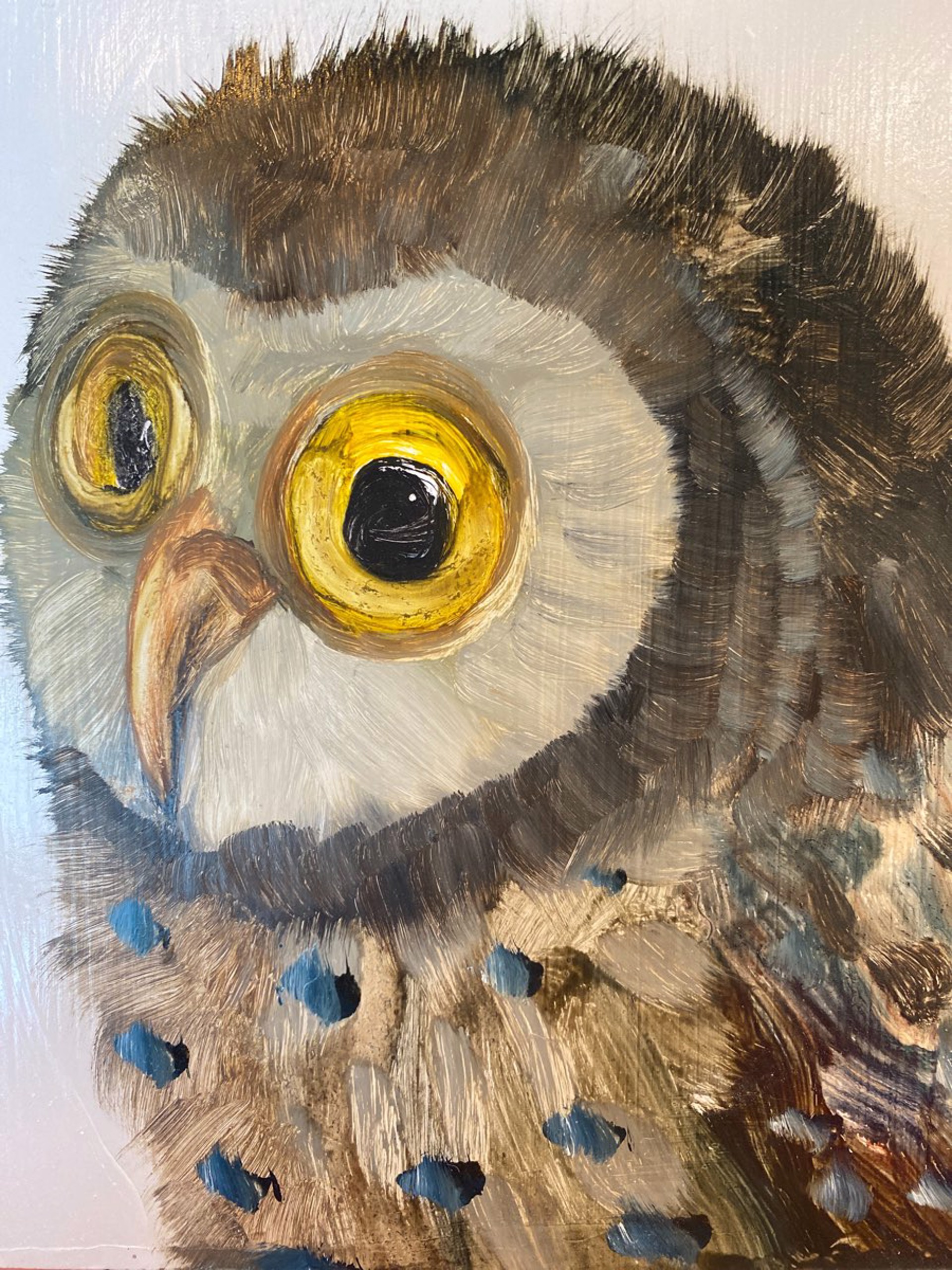 Small Owl by Diane Kilgore Condon