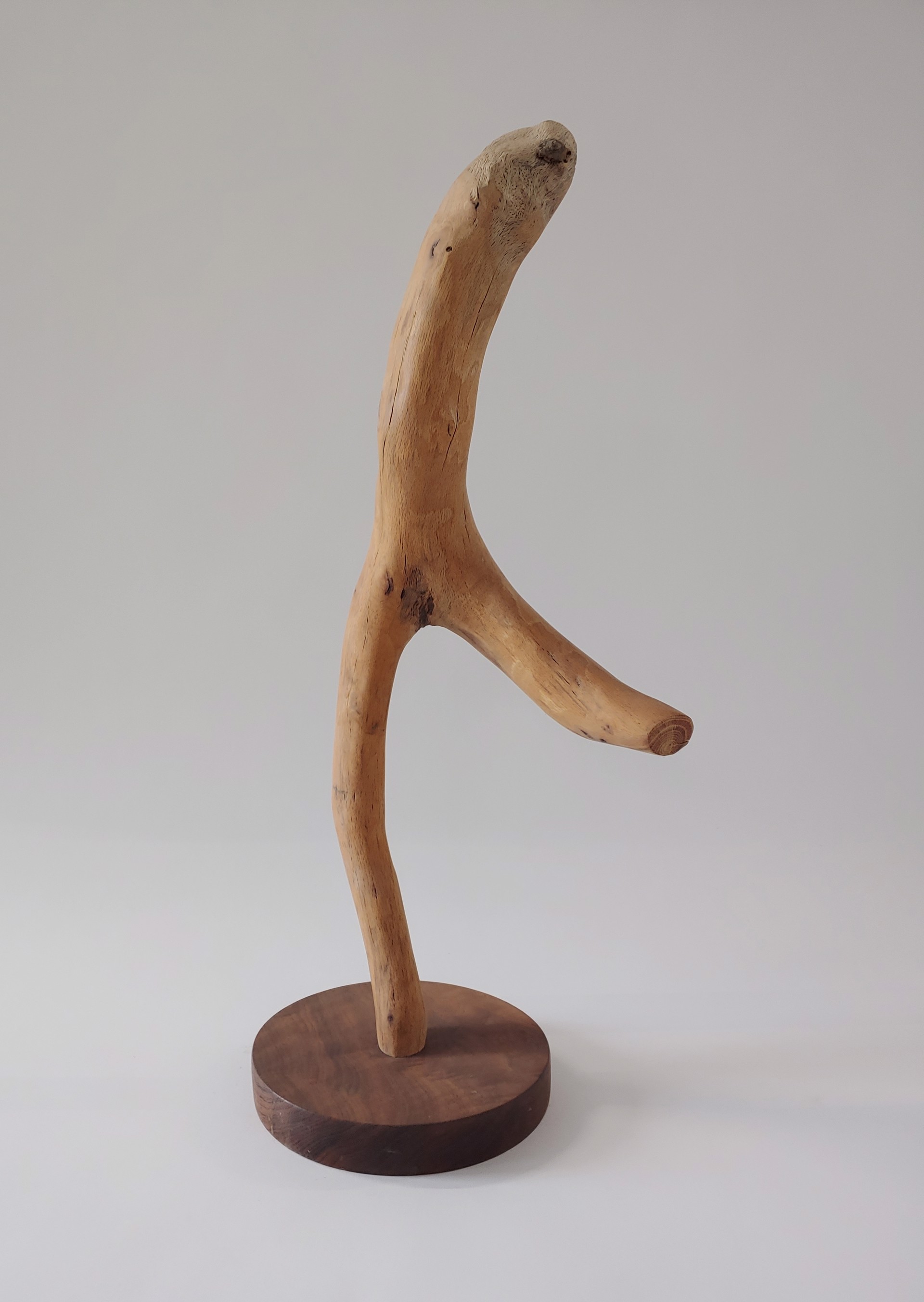 Male Dancer - Wood Sculpture by David Amdur