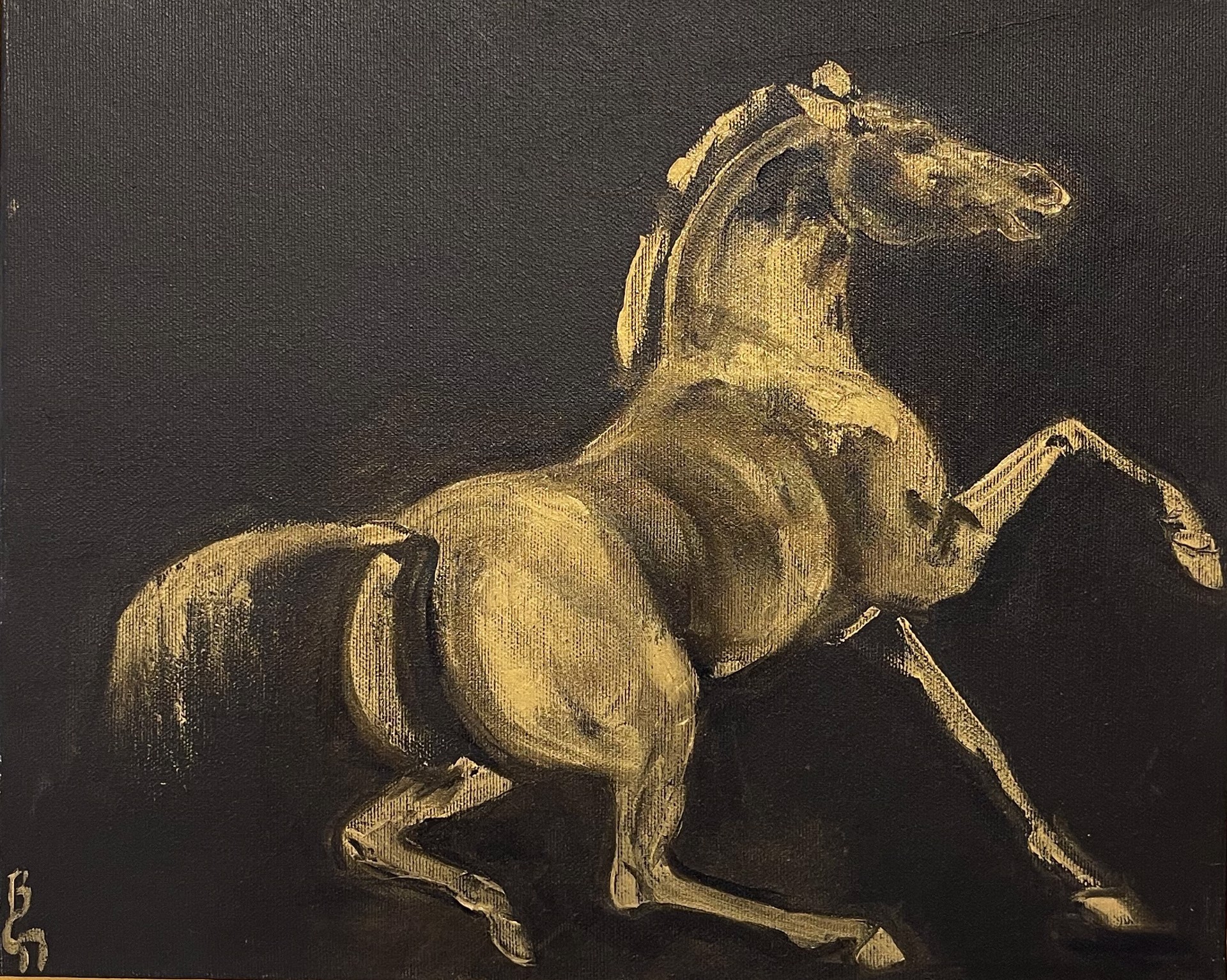 Golden Stallion by Brooke Major