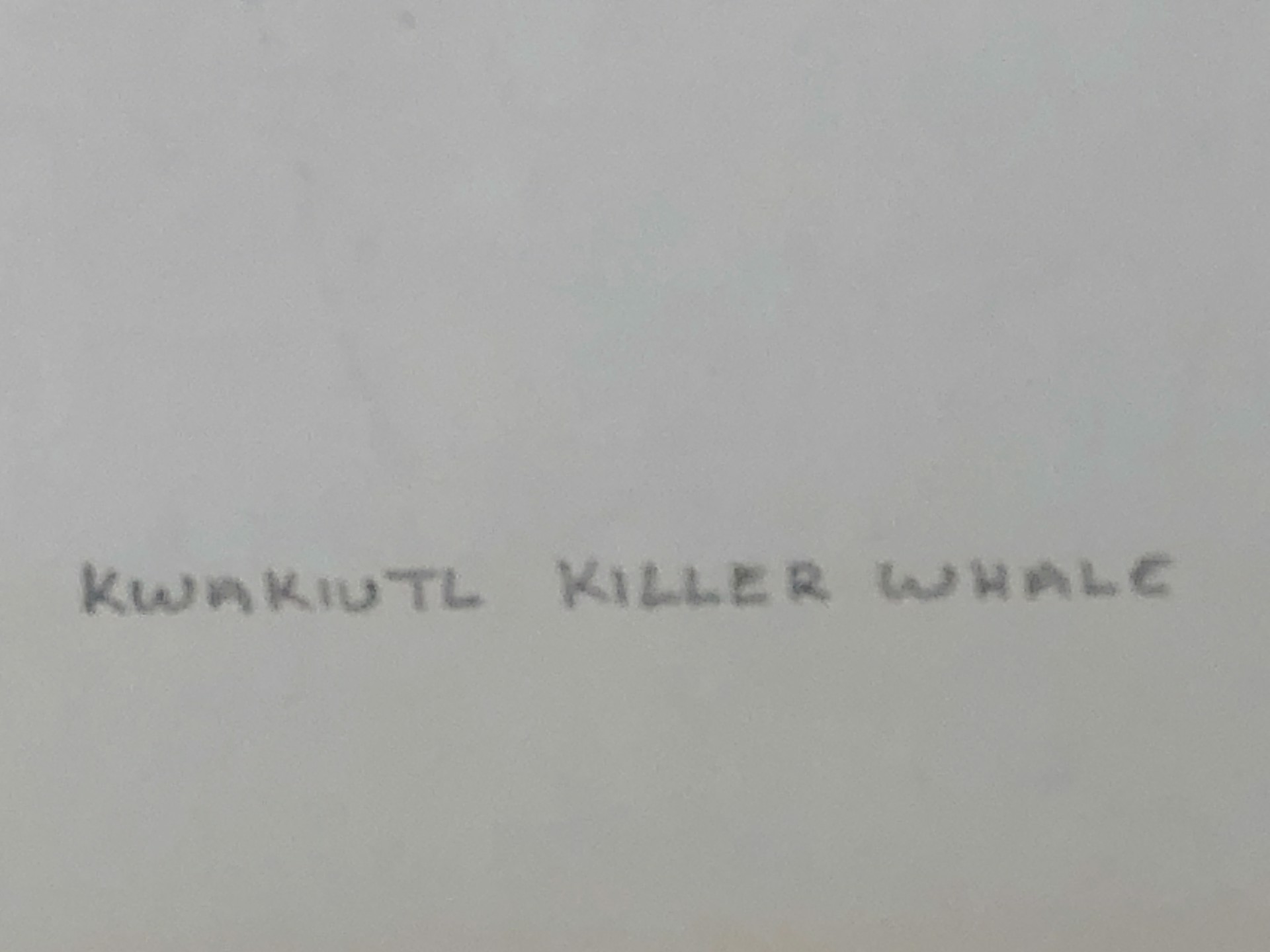 Kwakiutl Killer Whale by Tony Hunt, Sr.