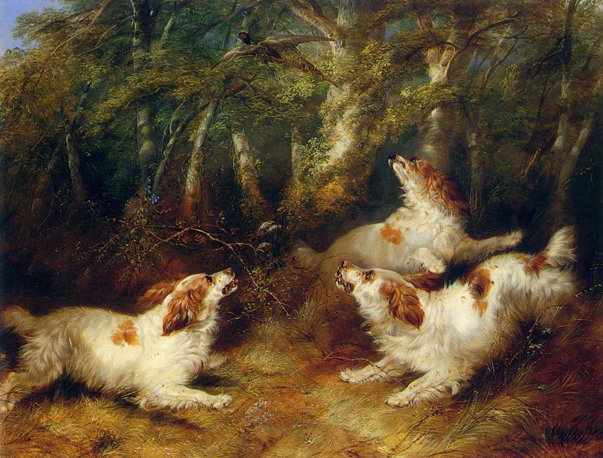 Spaniels Putting up a Pheasant by George Armfield