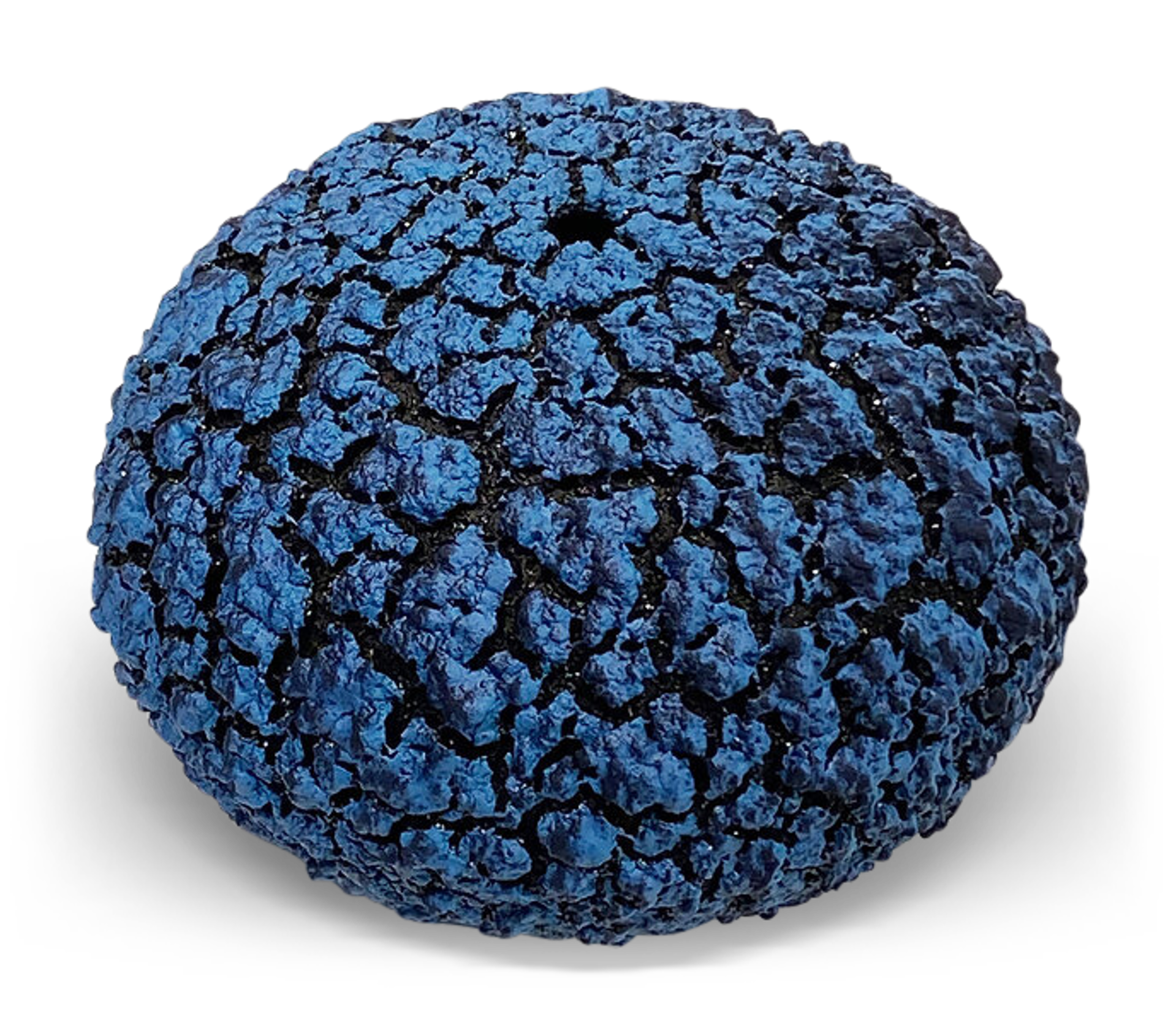 Urchin Vessel ~ Turquoise Blue/Sapphire Blue by Randy O'Brien
