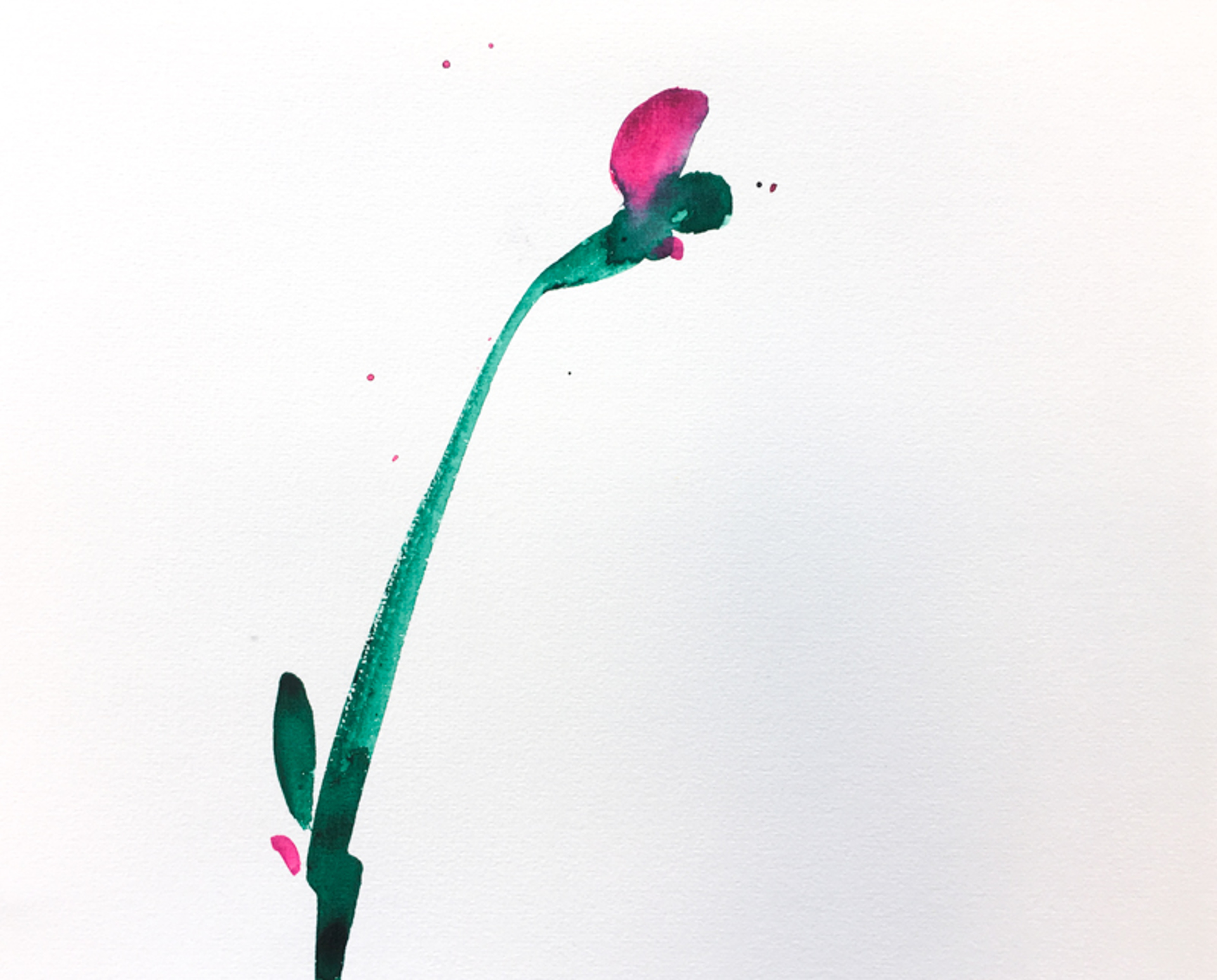 Floral Watercolor No. 2 by Christian Rothmann