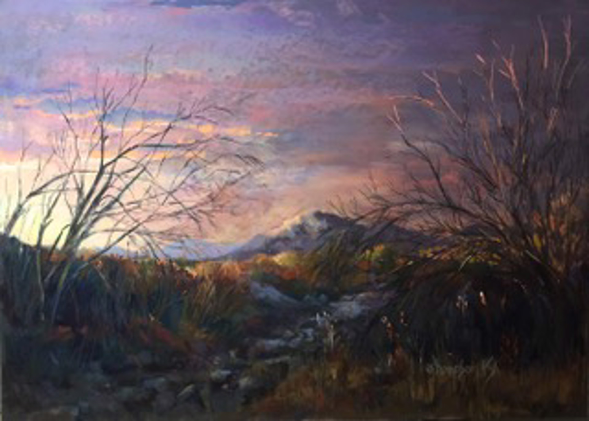Evening Arroyo by Jan Thompson