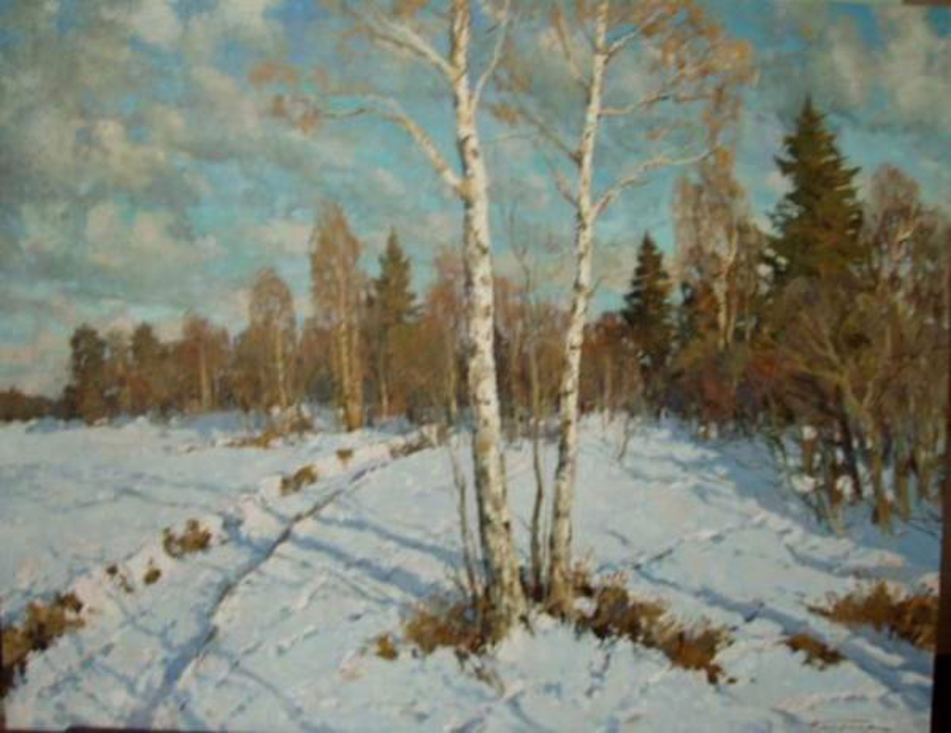 Snowy Birches by Alexander Kremer
