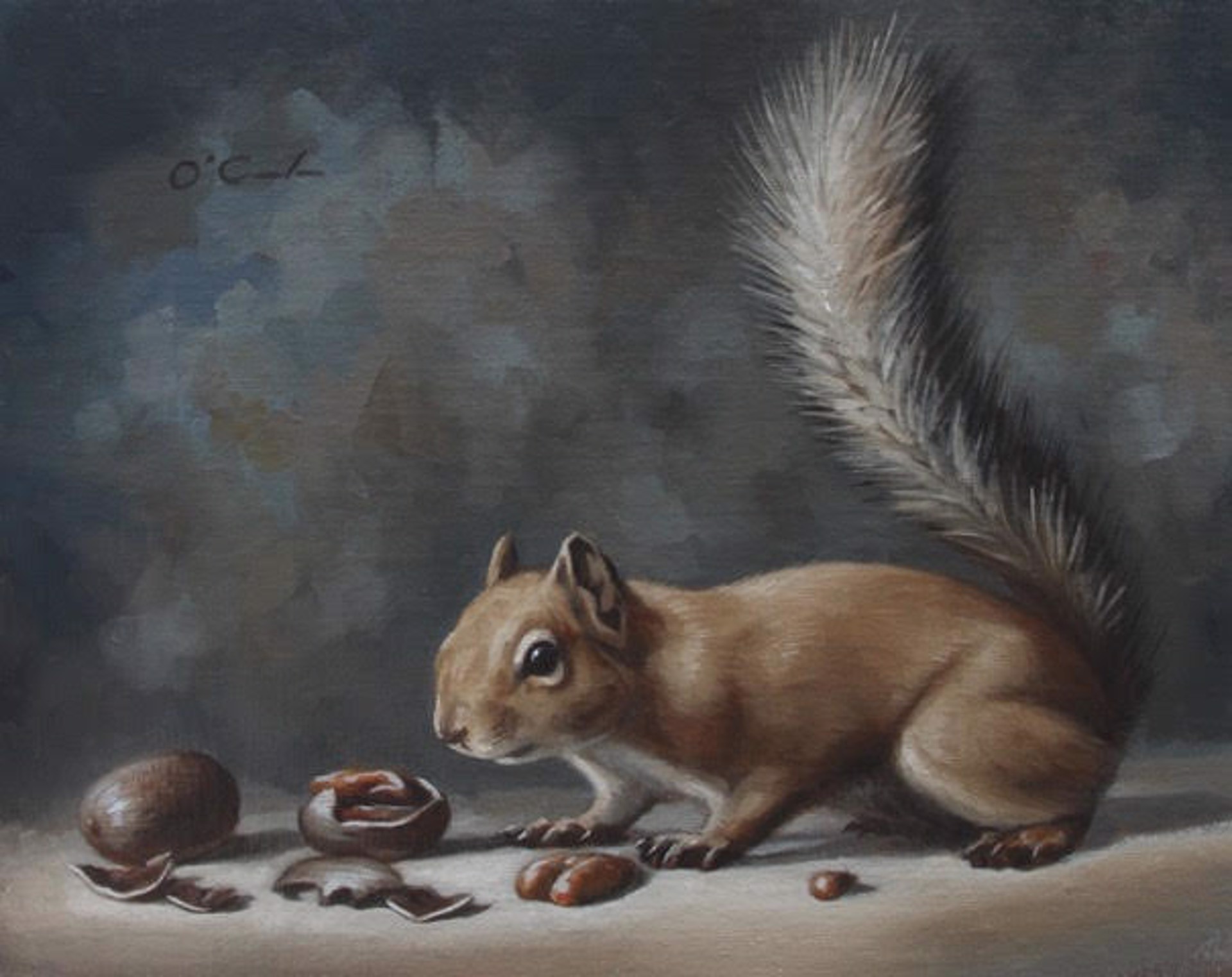 A Tough Nut To Crack by Jennifer O'Cualain