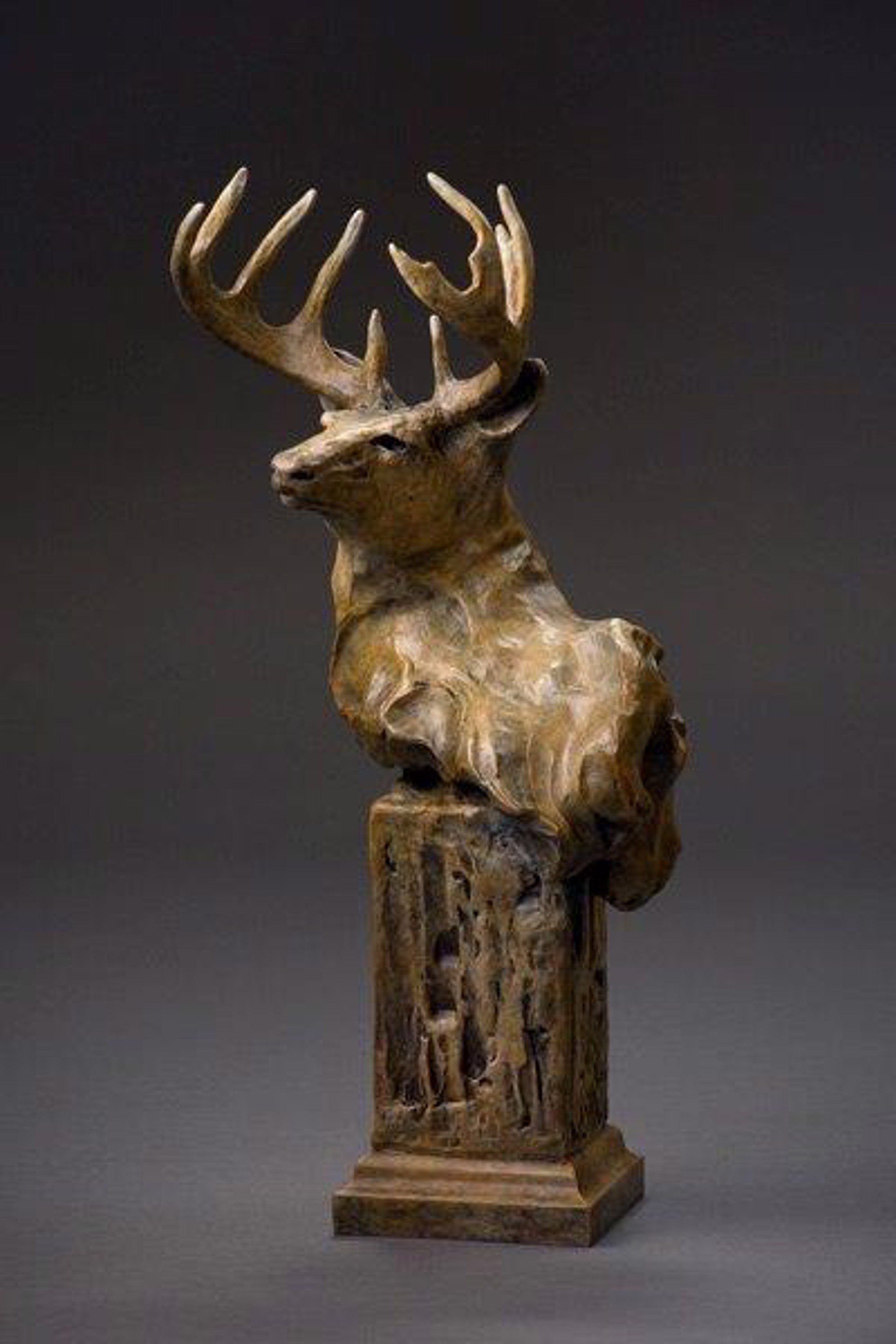 Whitetail Deer Bust #14/35 by Sherry Salari Sander