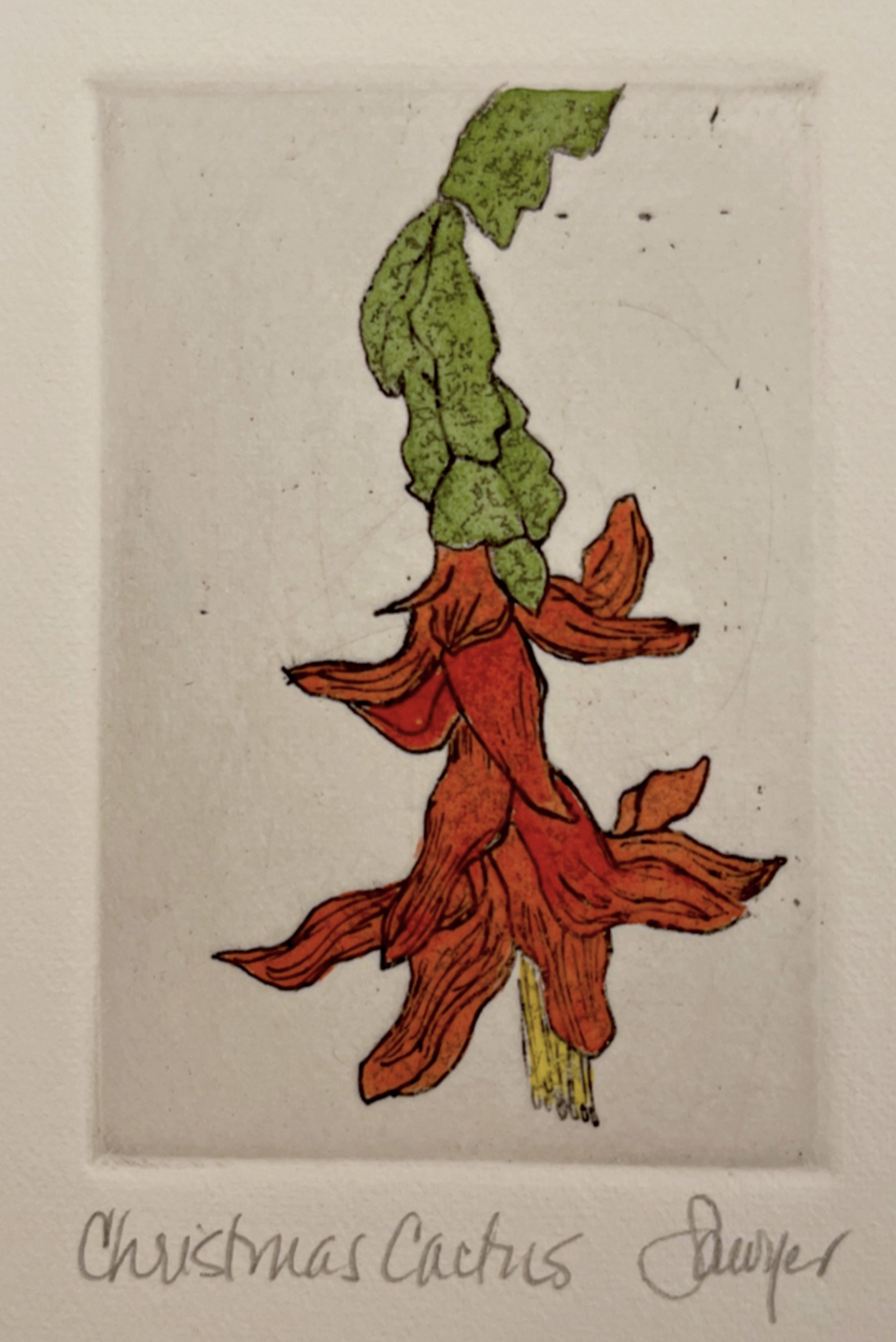 Christmas Cactus (unframed) by Anne Sawyer