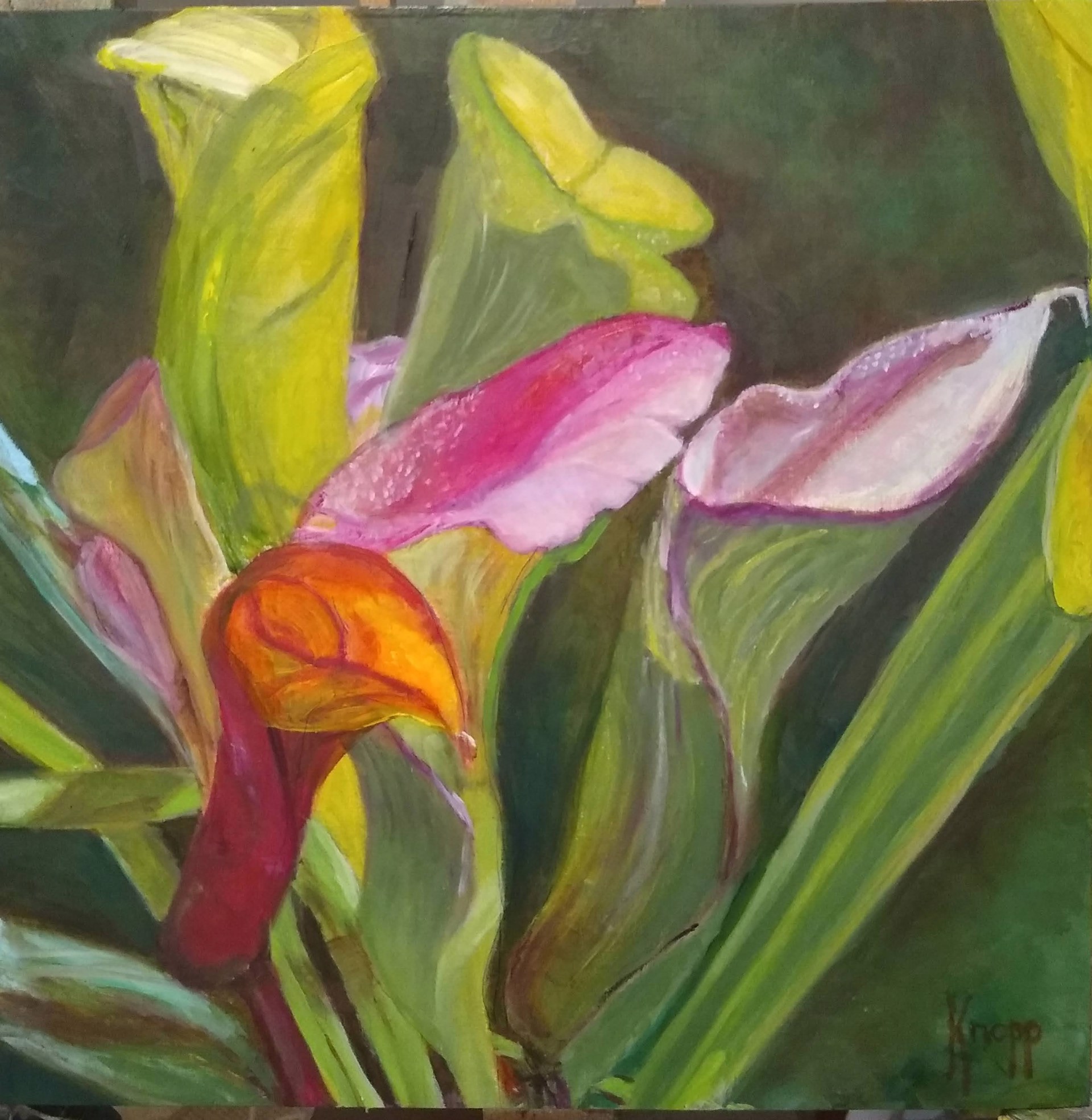 Cana Lilies by Kathy Knopp