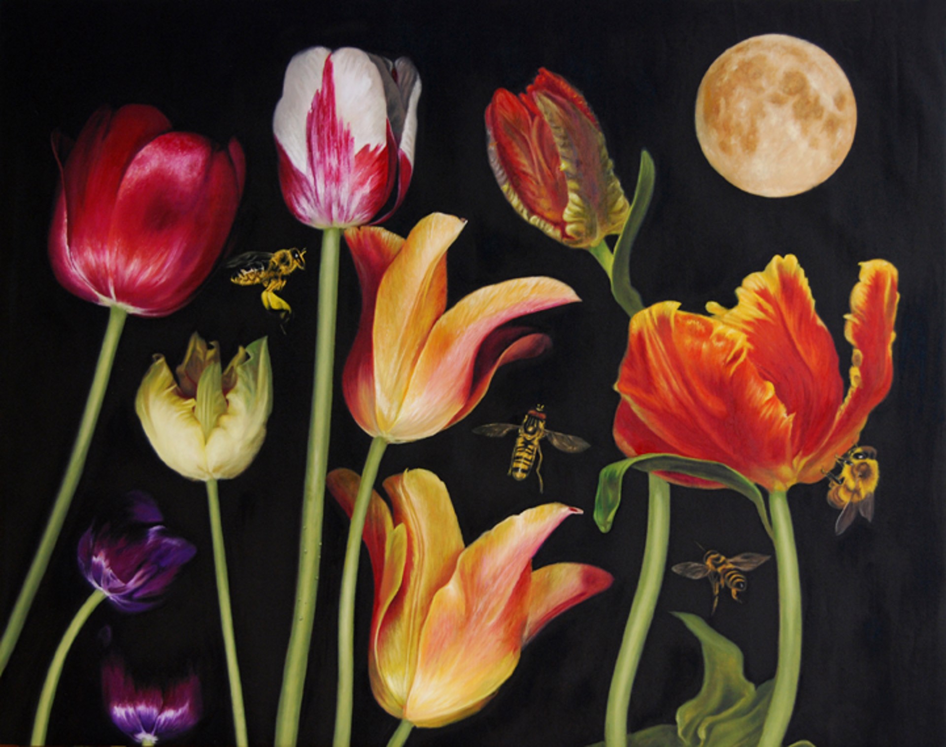 The Tulips and The Bees by Marc Dennis