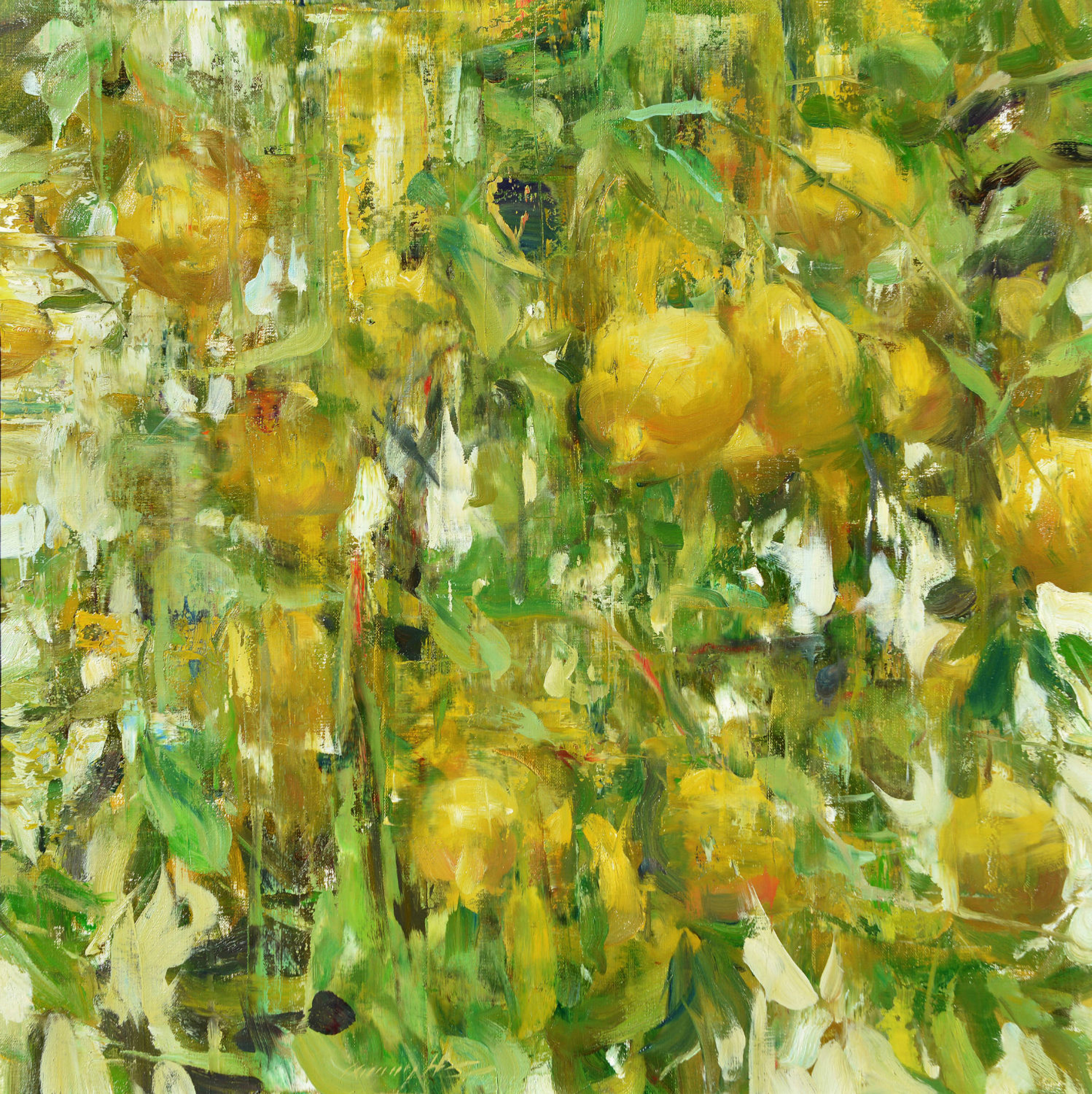 Lemon Trees by Quang Ho