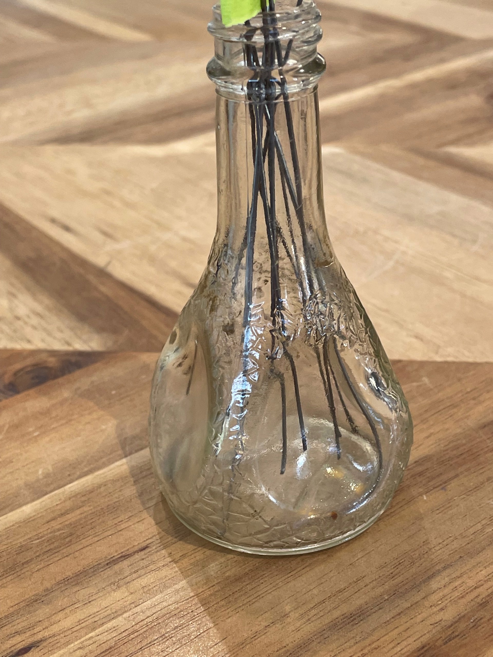 Petite Extract Bottle for Glass Flowers by Jason Davis