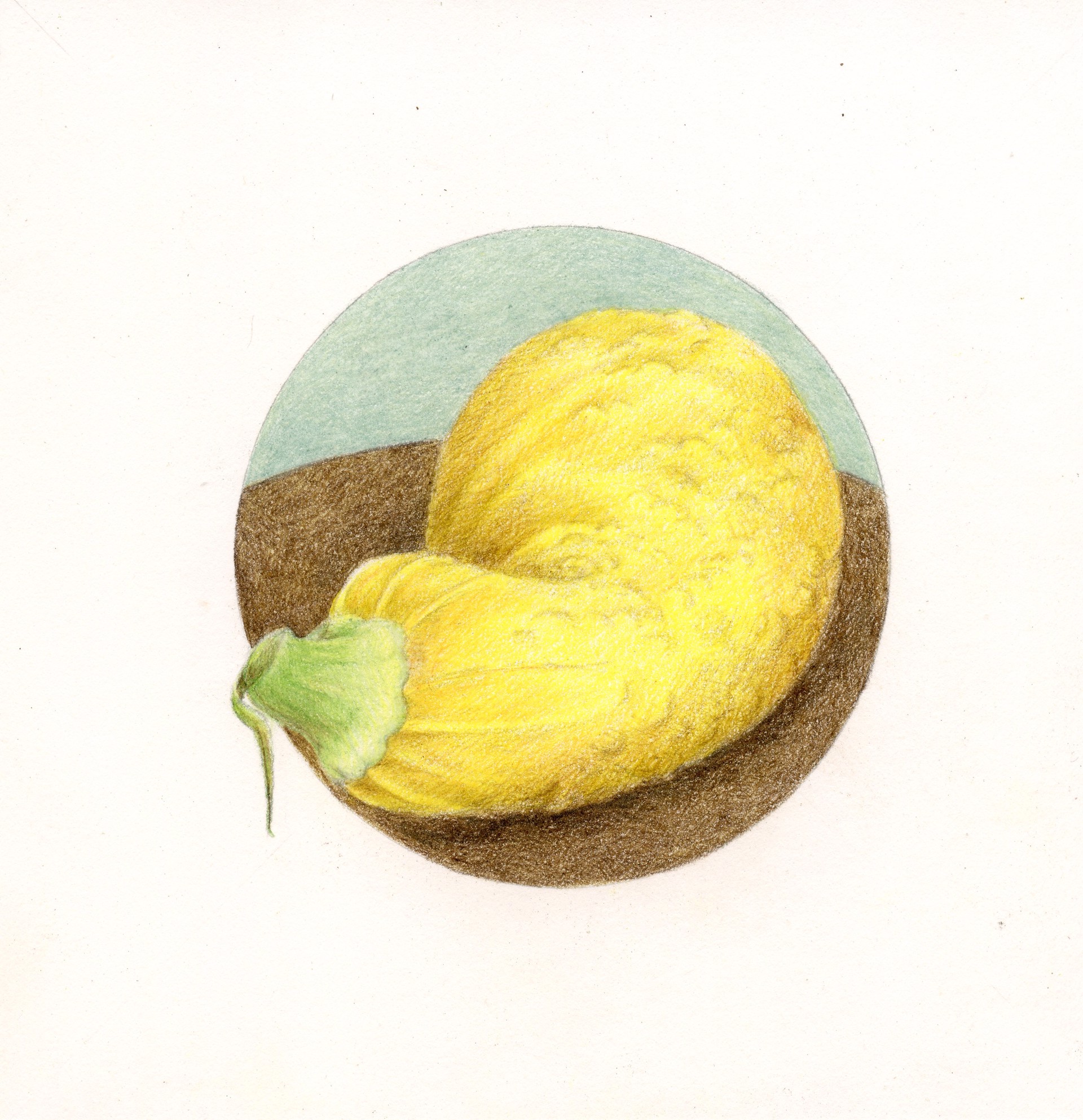 Squash by Mary Lee Eggart