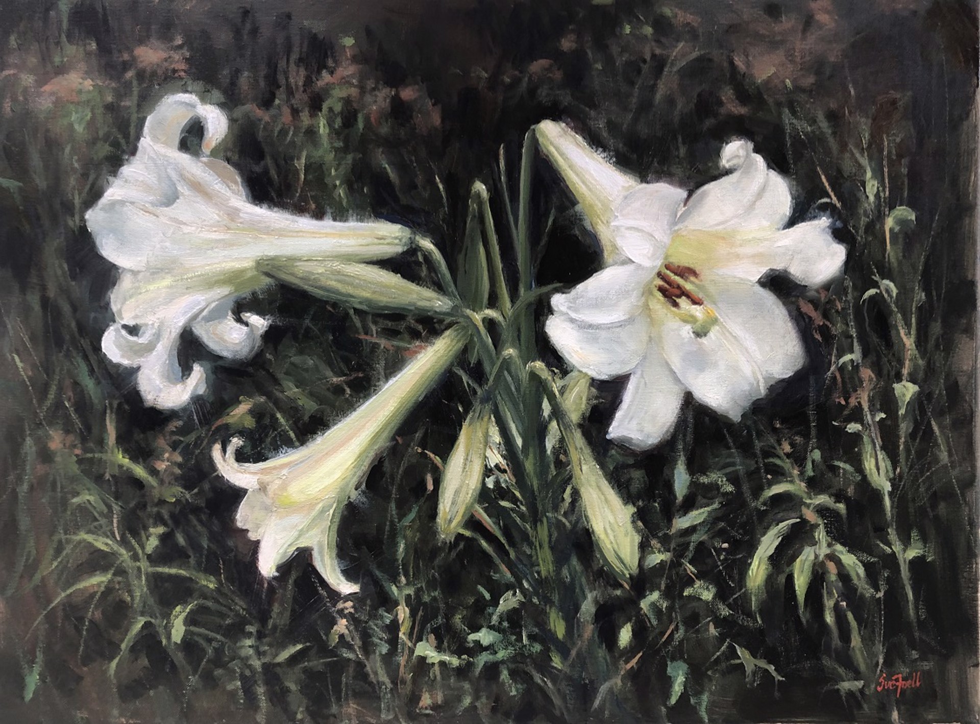 Trumpet Lilies by Sue Foell, opa