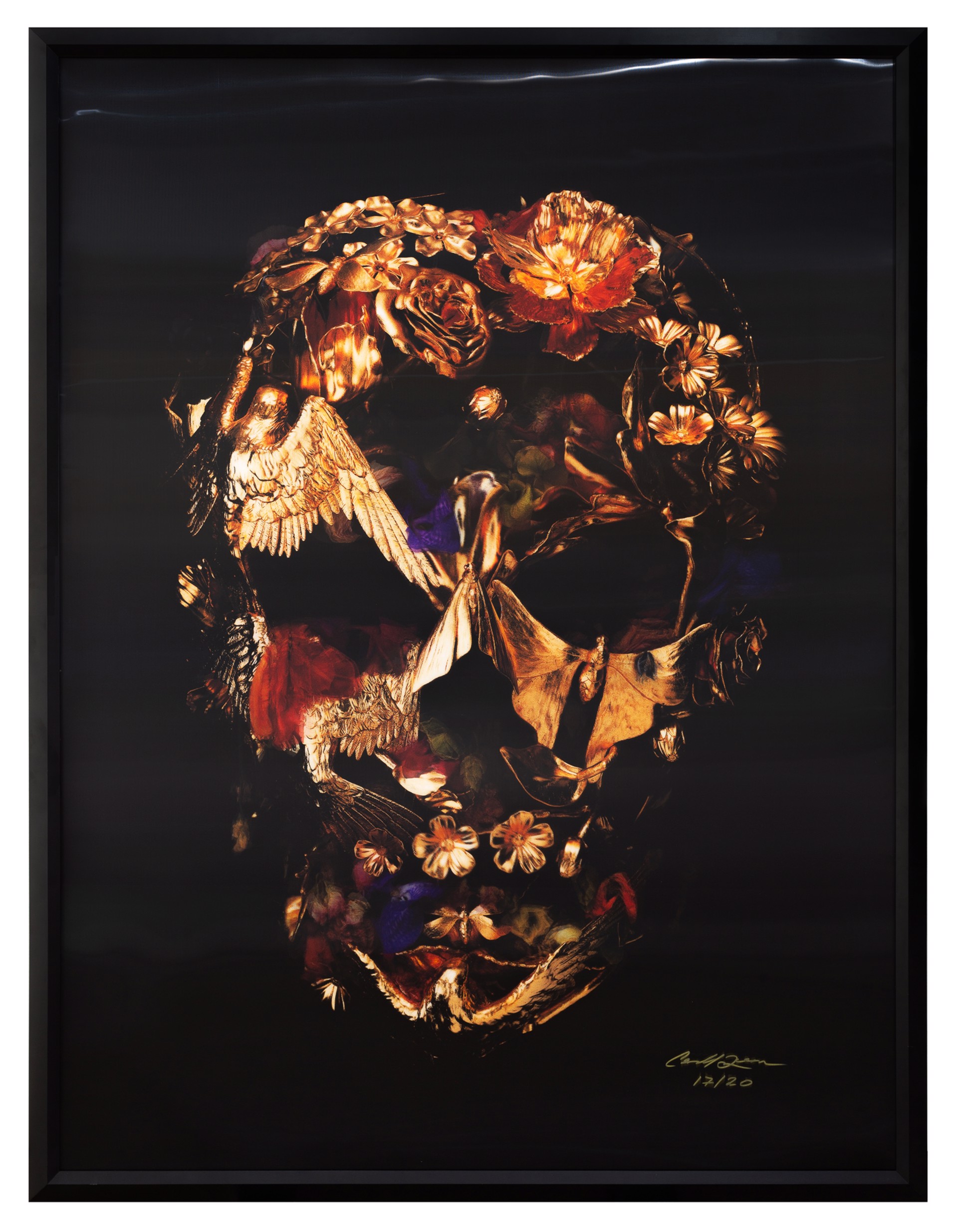 The Vanitas Skull by Gary James McQueen