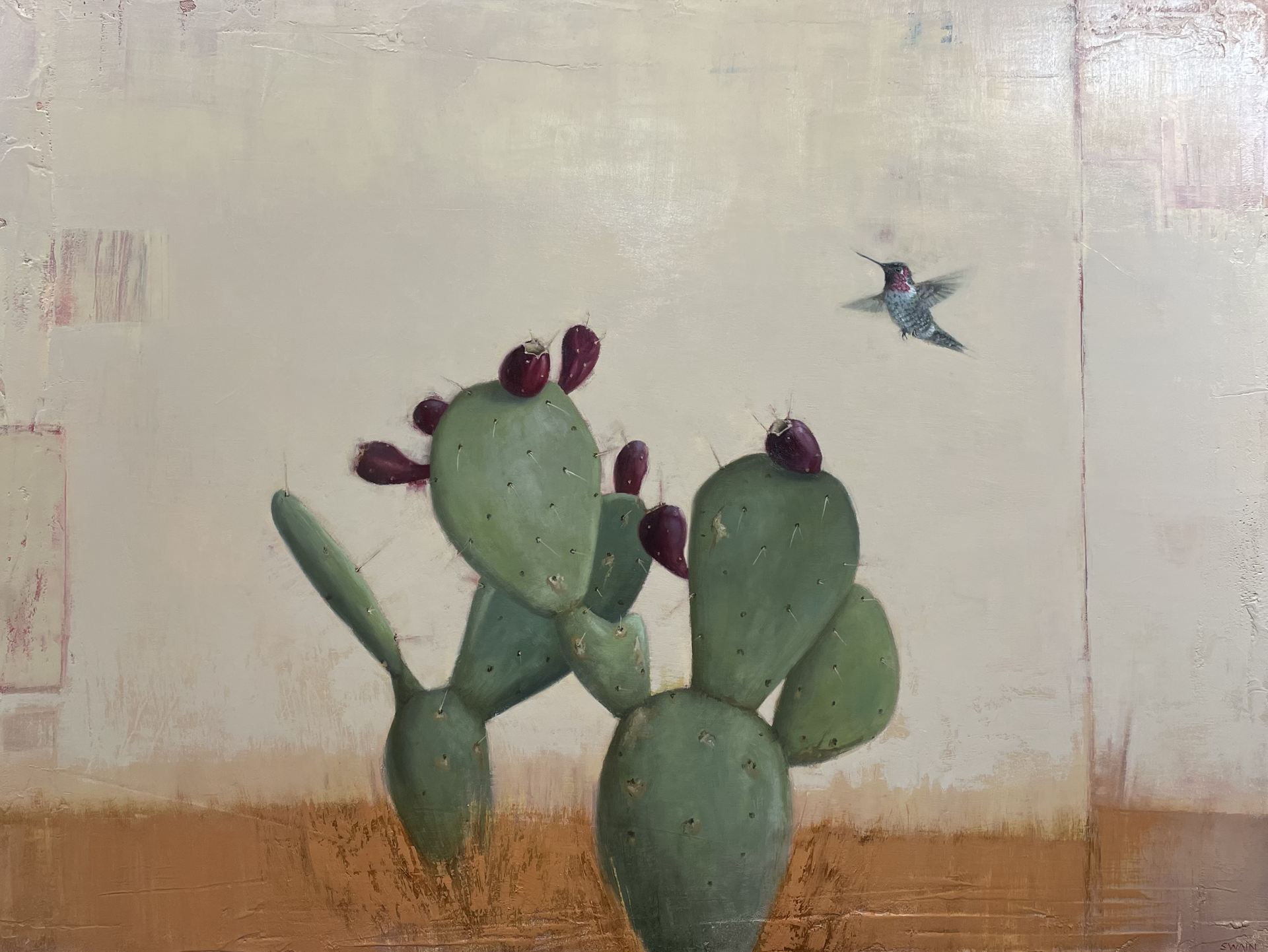 Cactus Humming Bird by Tyler Swain