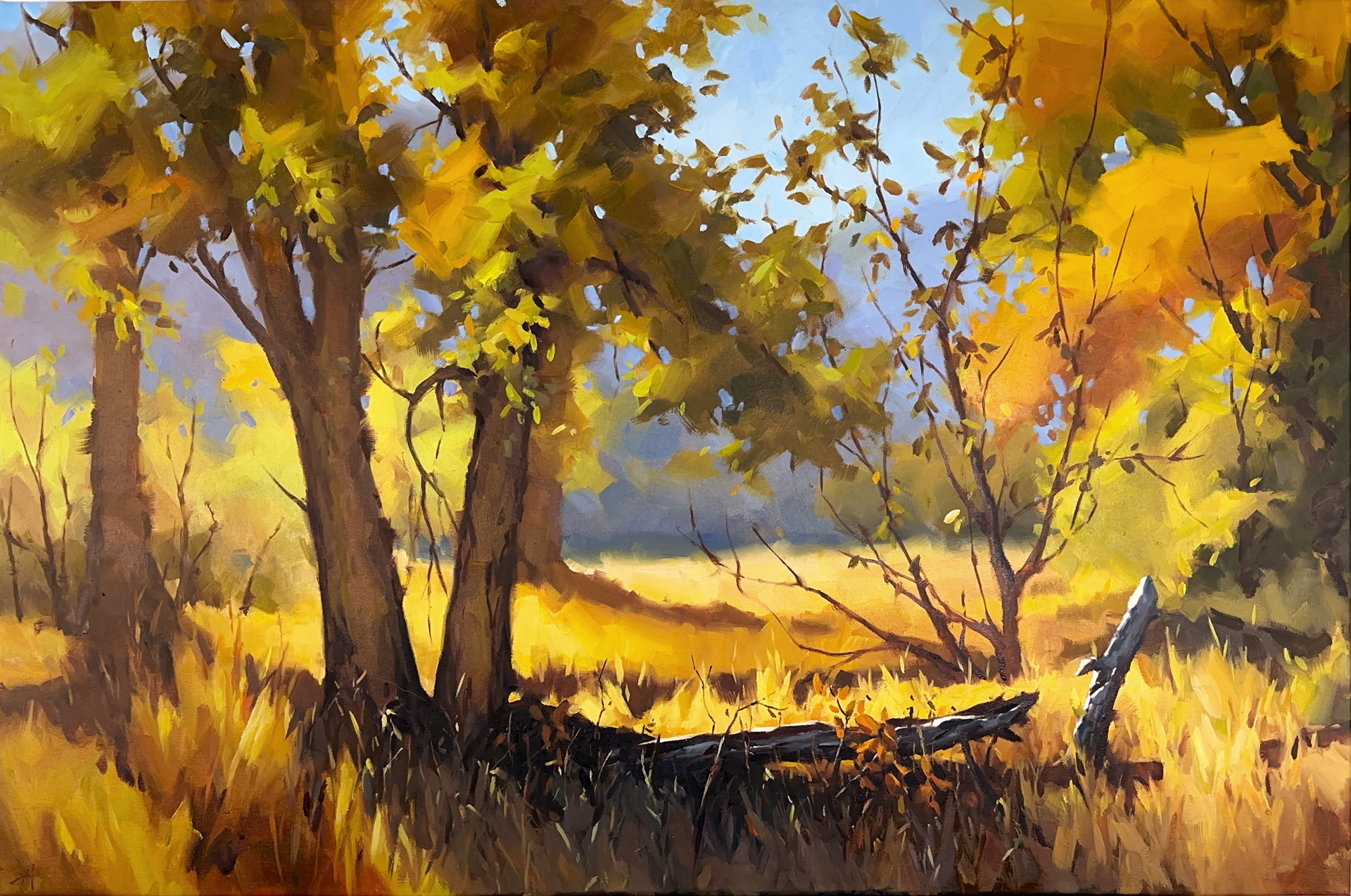Autumn Grove by Judd Mercer