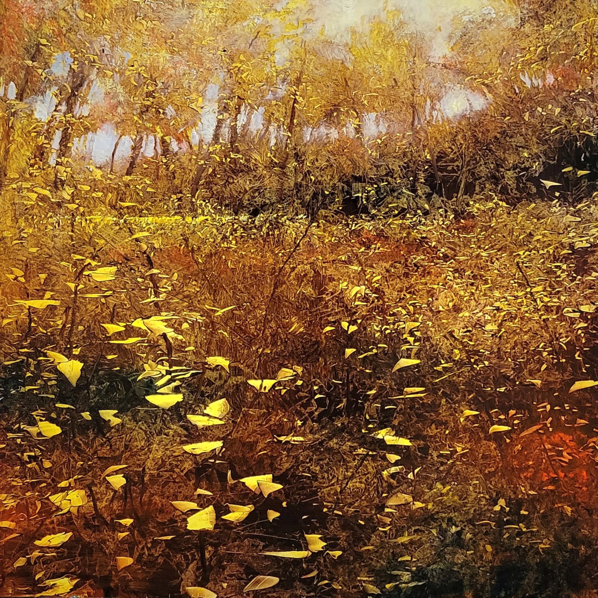 Autumn Leaf Dance by David Dunlop