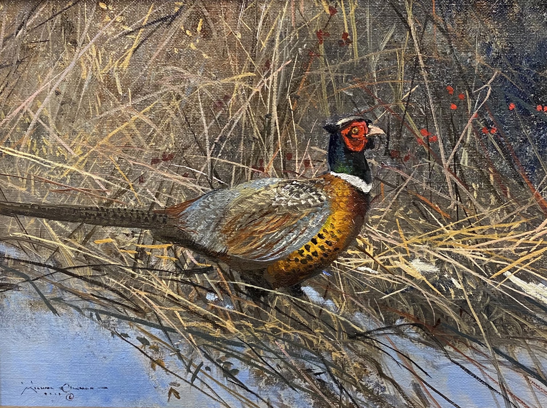 RINGNECK PHEASANT by Michael Coleman Montana Trails Gallery