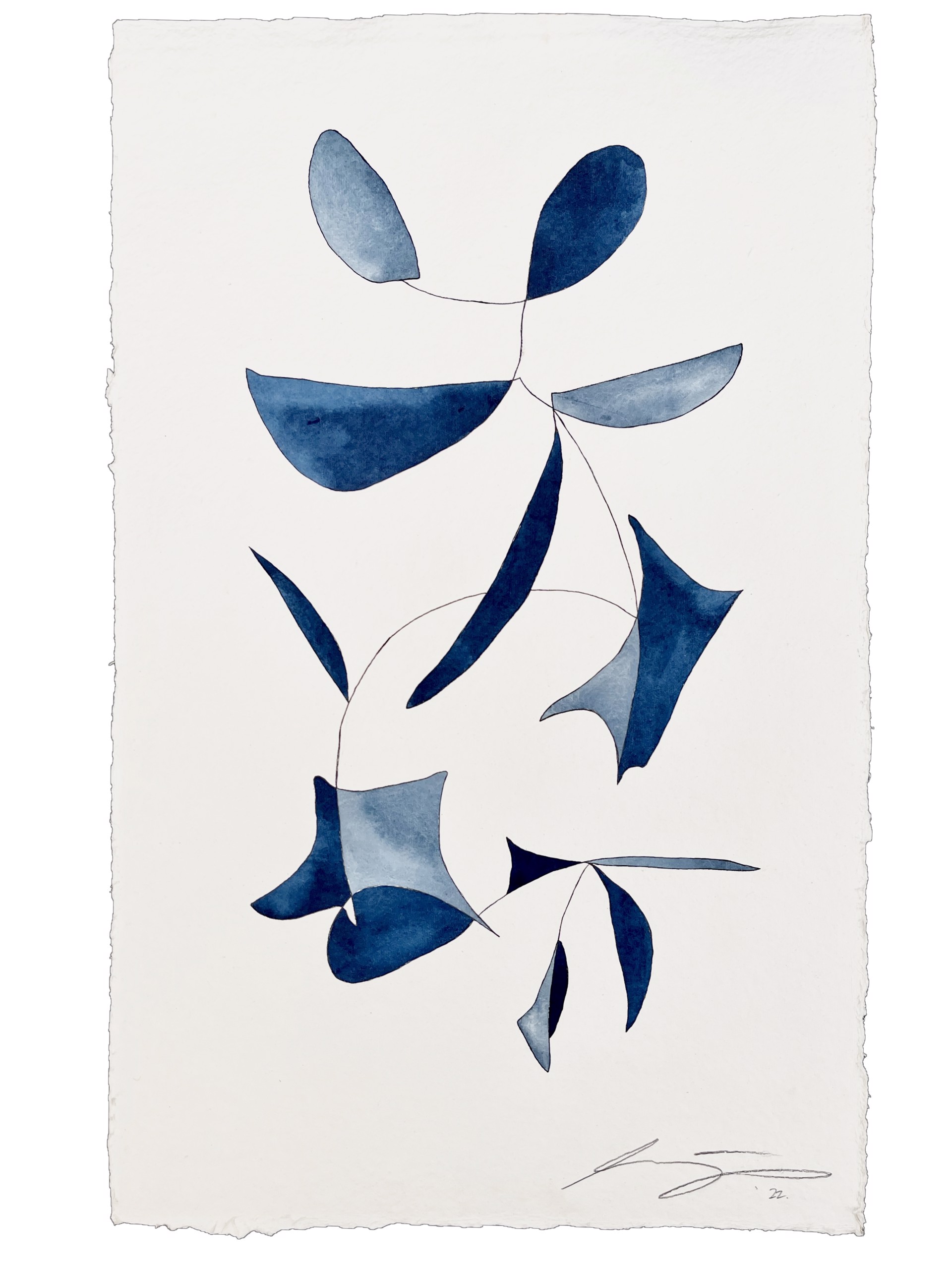 Indigo Blooms 22 by Lindsey Porter