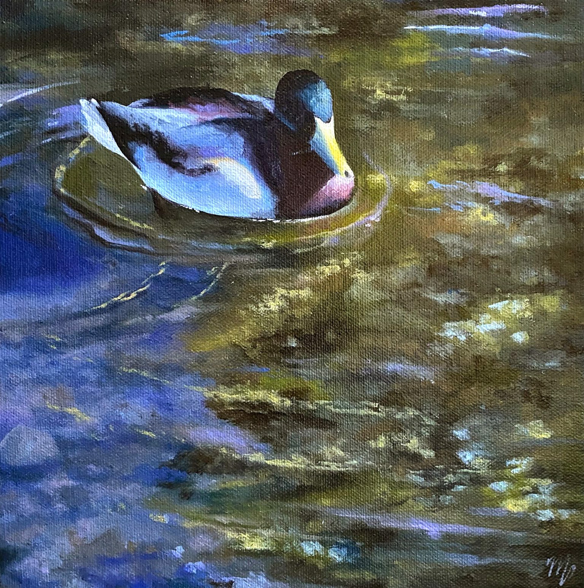 Sitting Duck by Mary VanLandingham