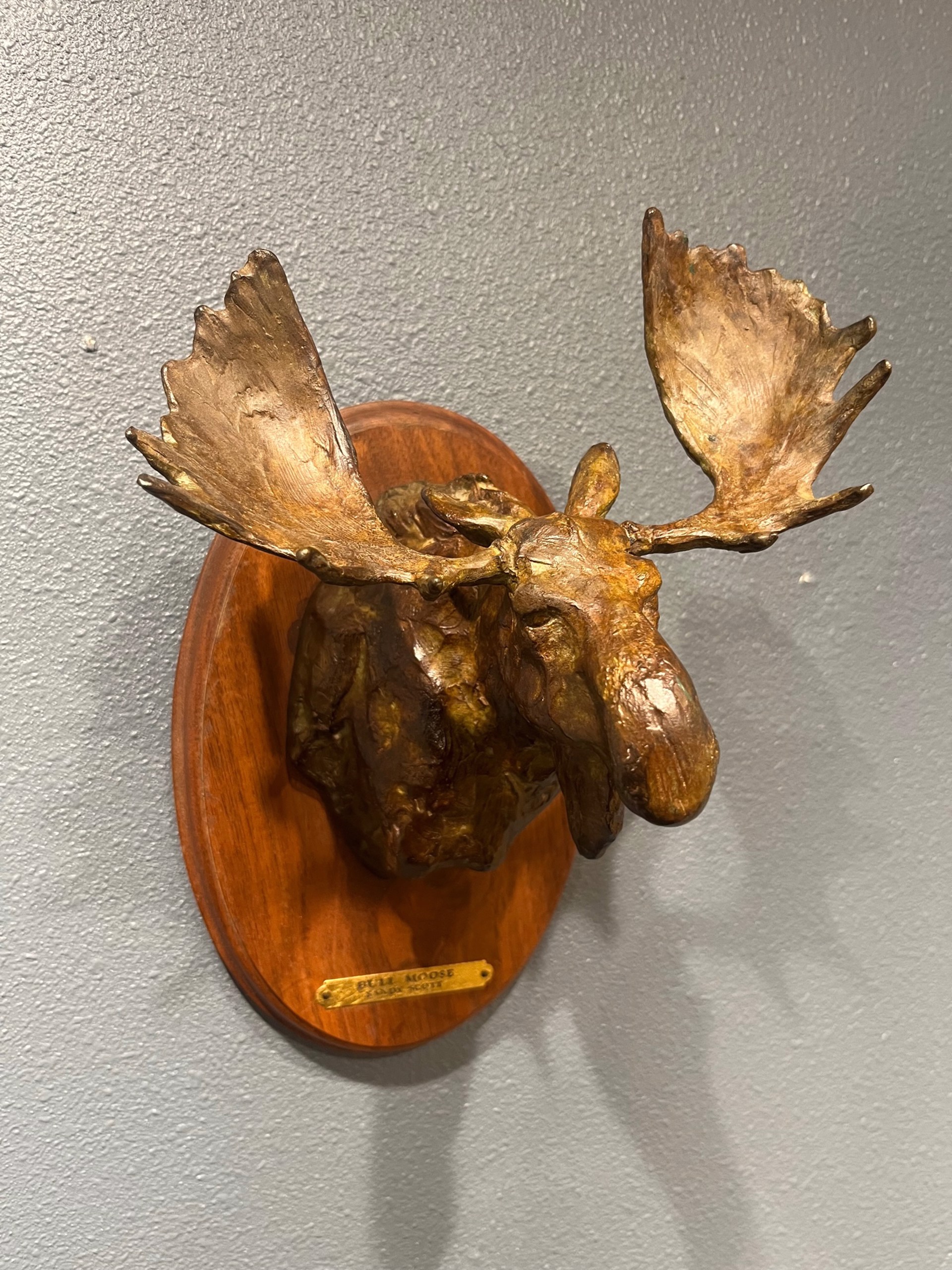 Bull Moose by Sandy Scott