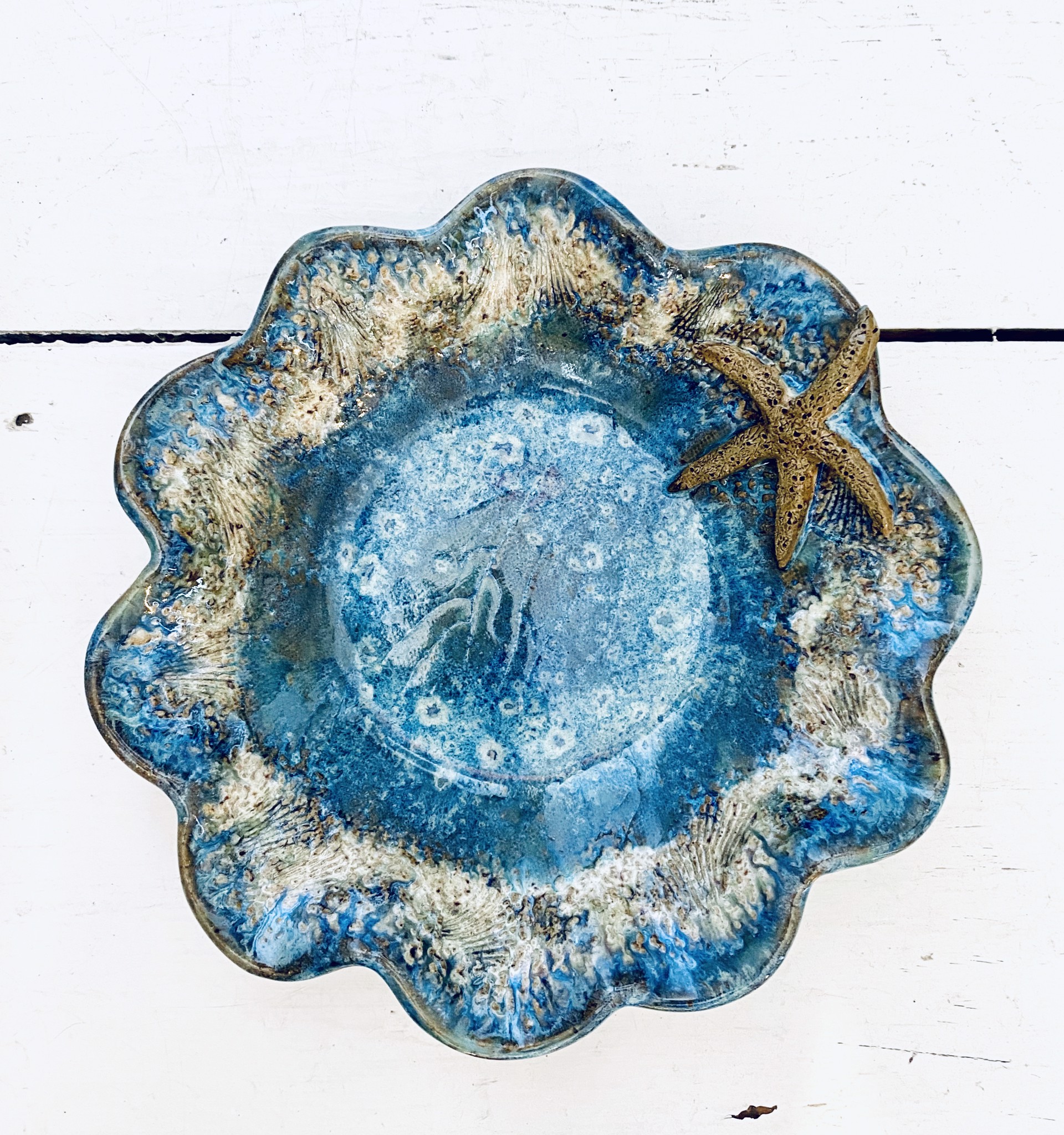 Starfish Plate #289 by Jim & Steffi Logan