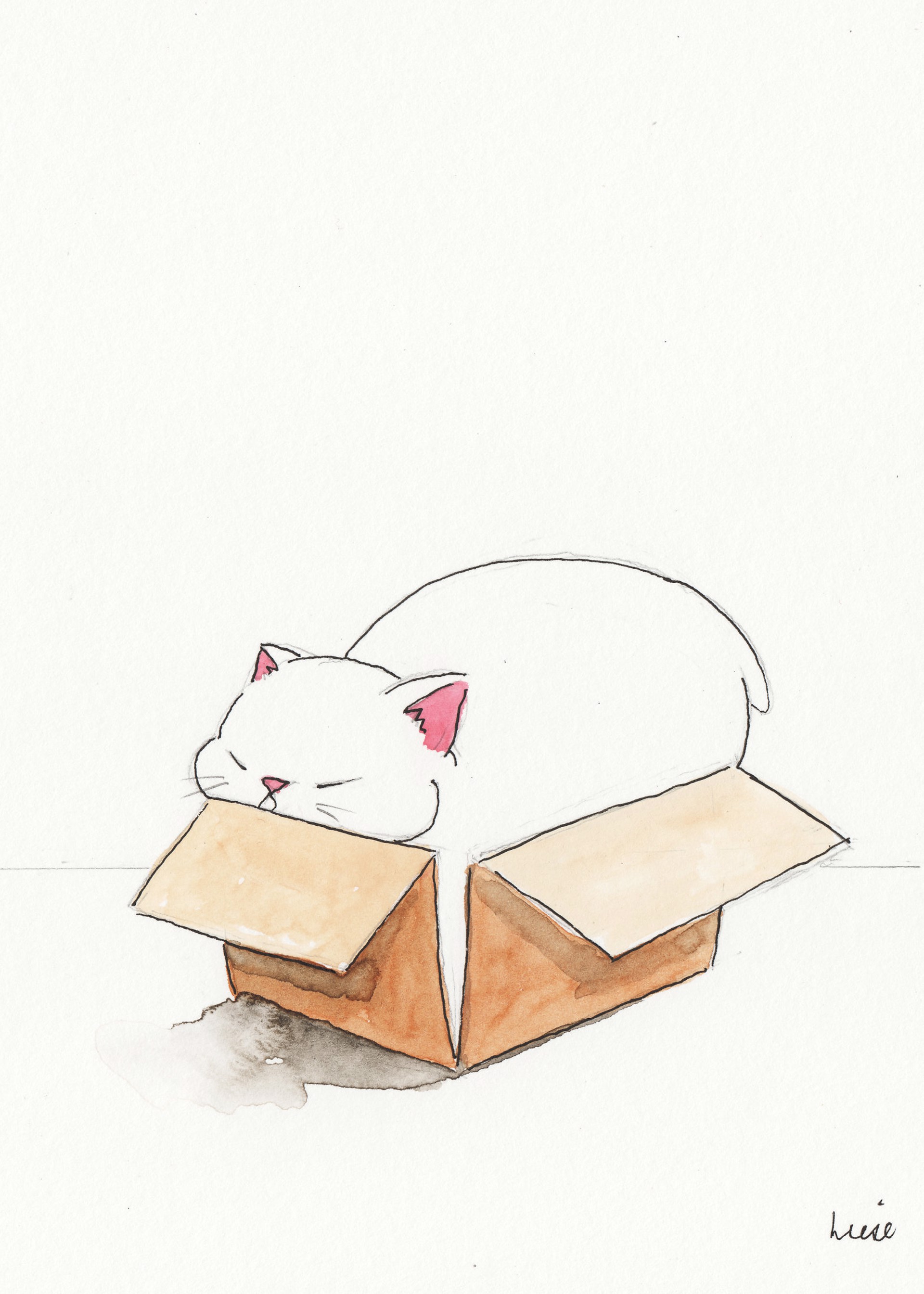 Box Kitty 11 by Liese Chavez