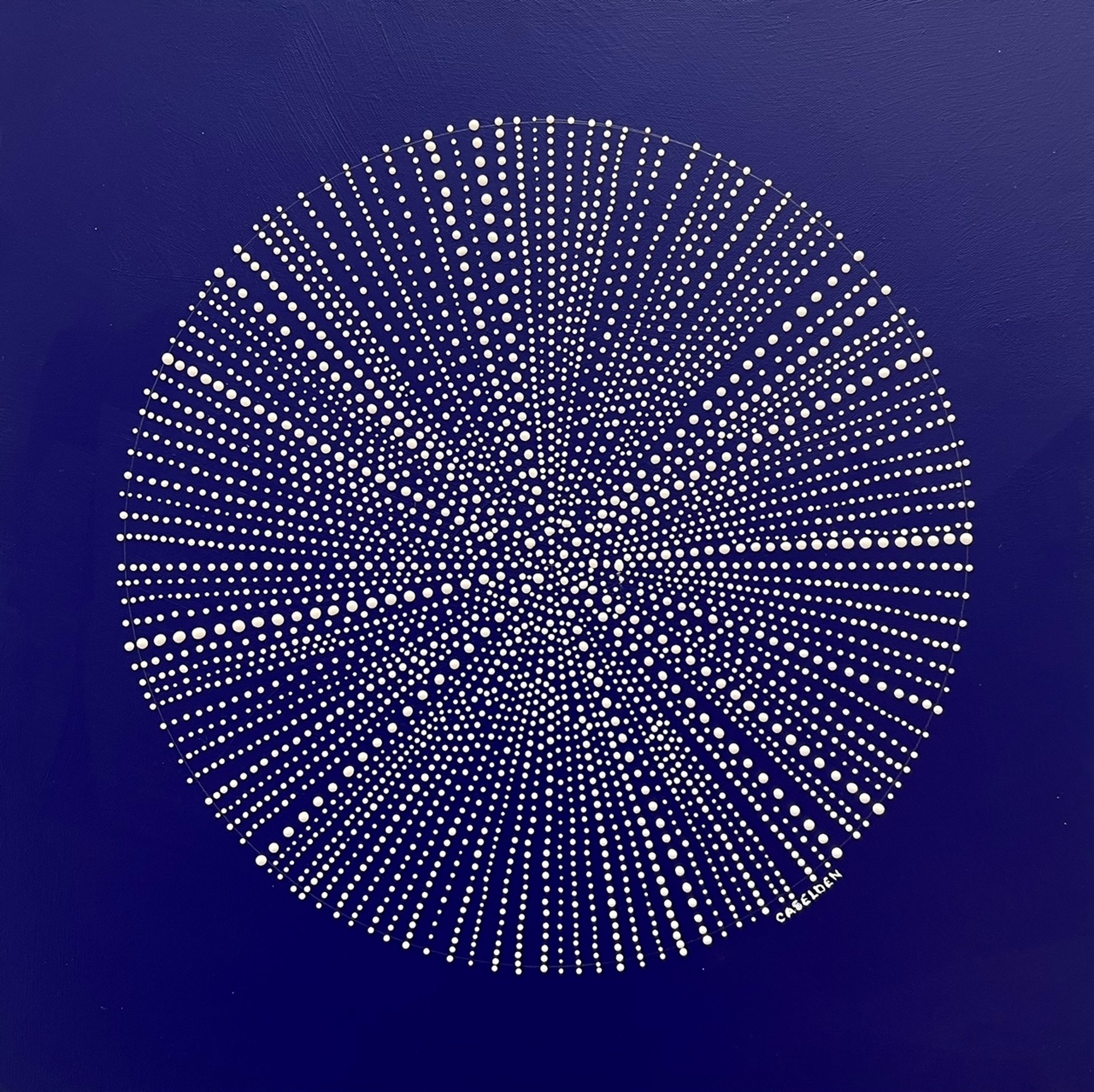 Sea Urchin by Donna Caselden