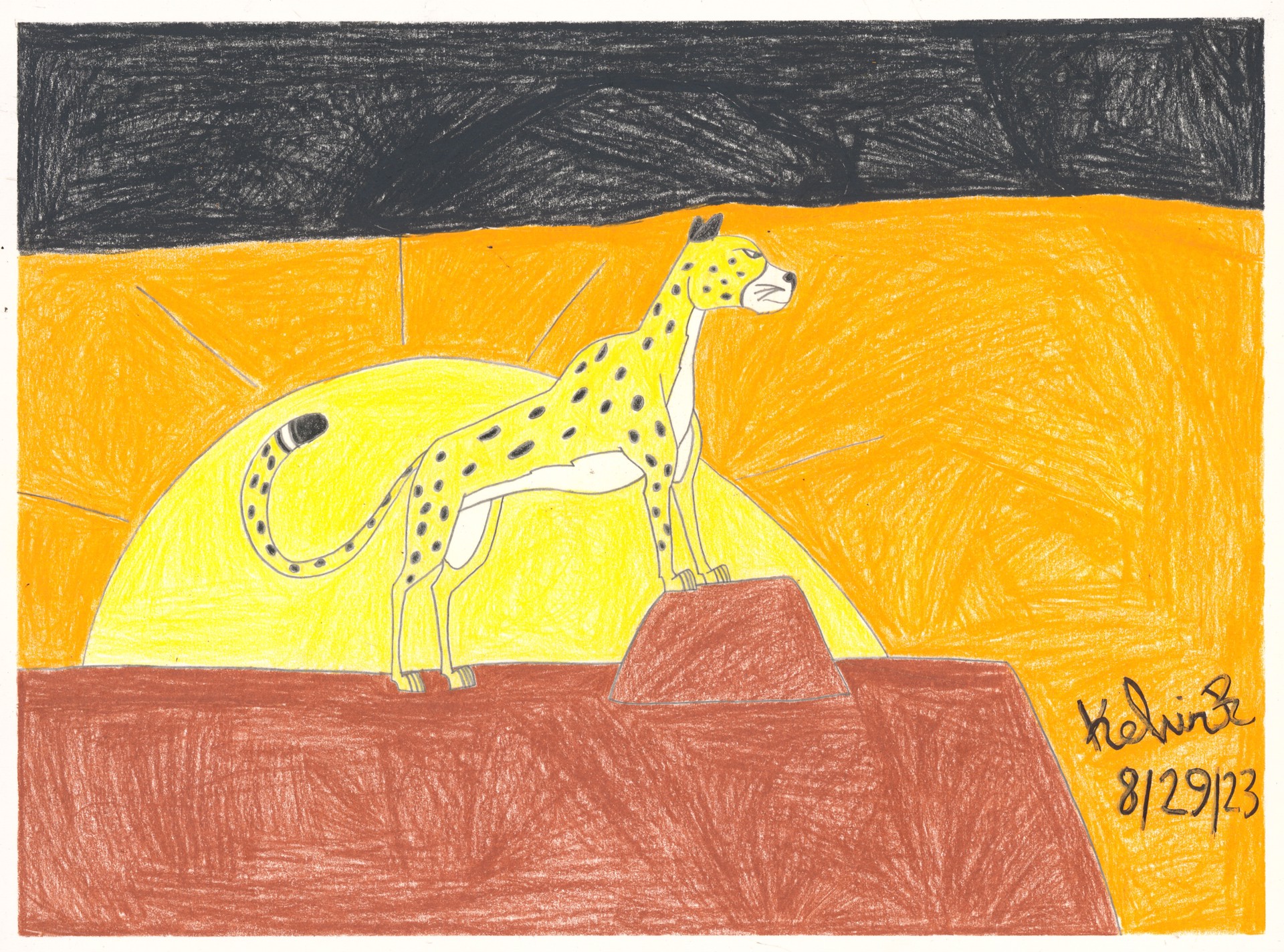 Dawn of the Cheetah (FRAMED) by Kelvin Richardson