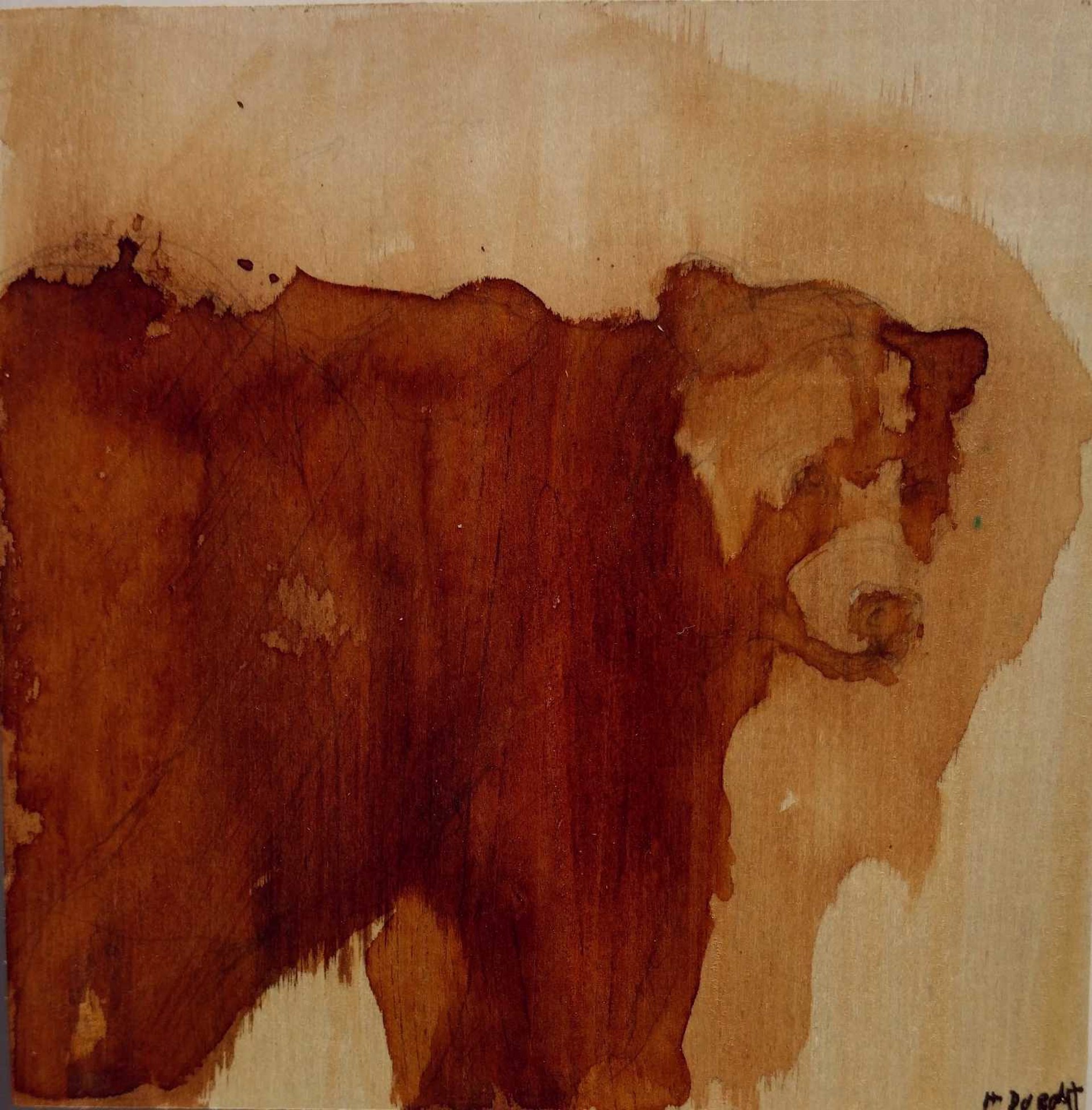 Brown Bear IV  by Helen Durant