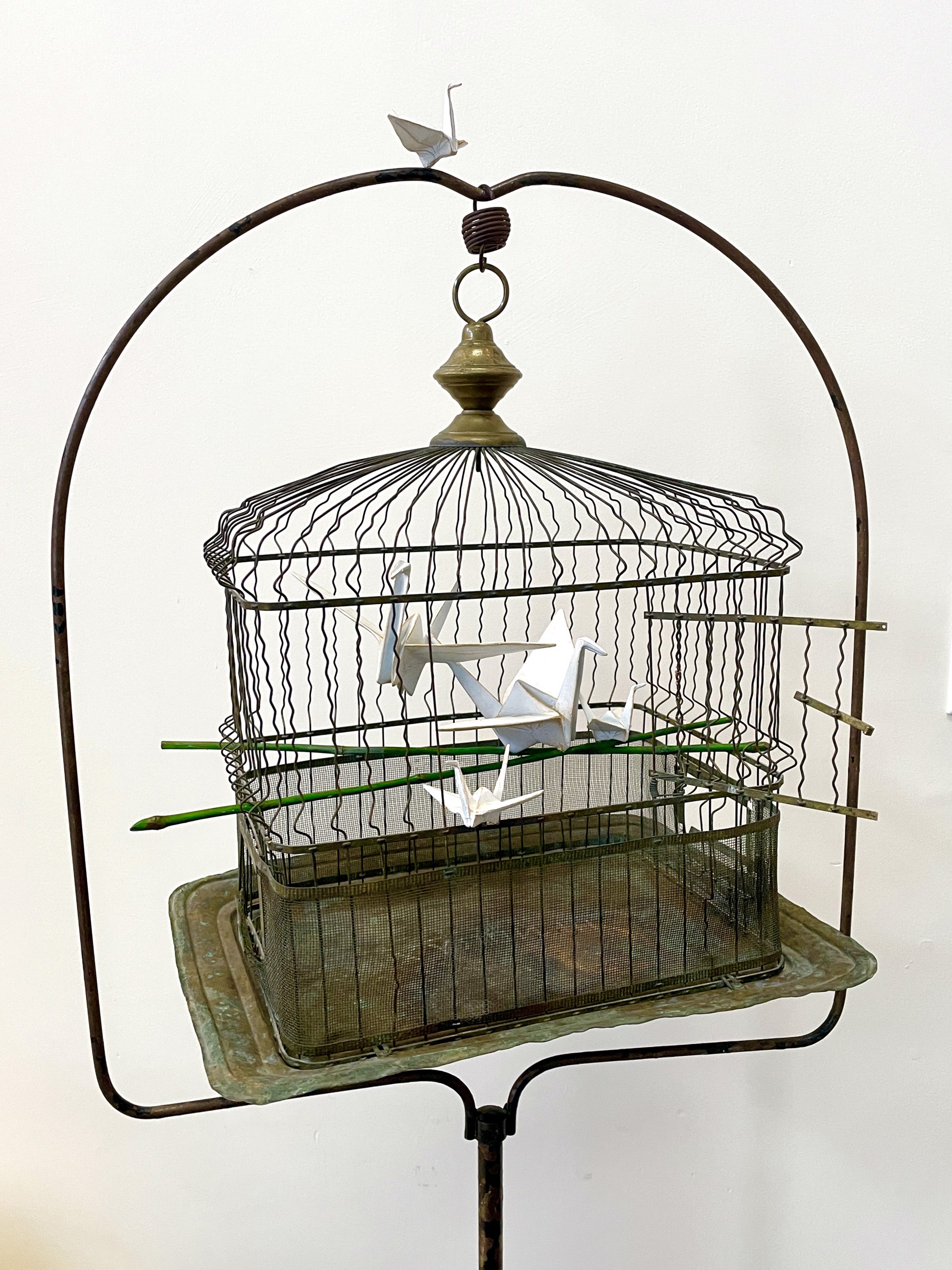 Caged Birds Singing by Kevin Box Studio