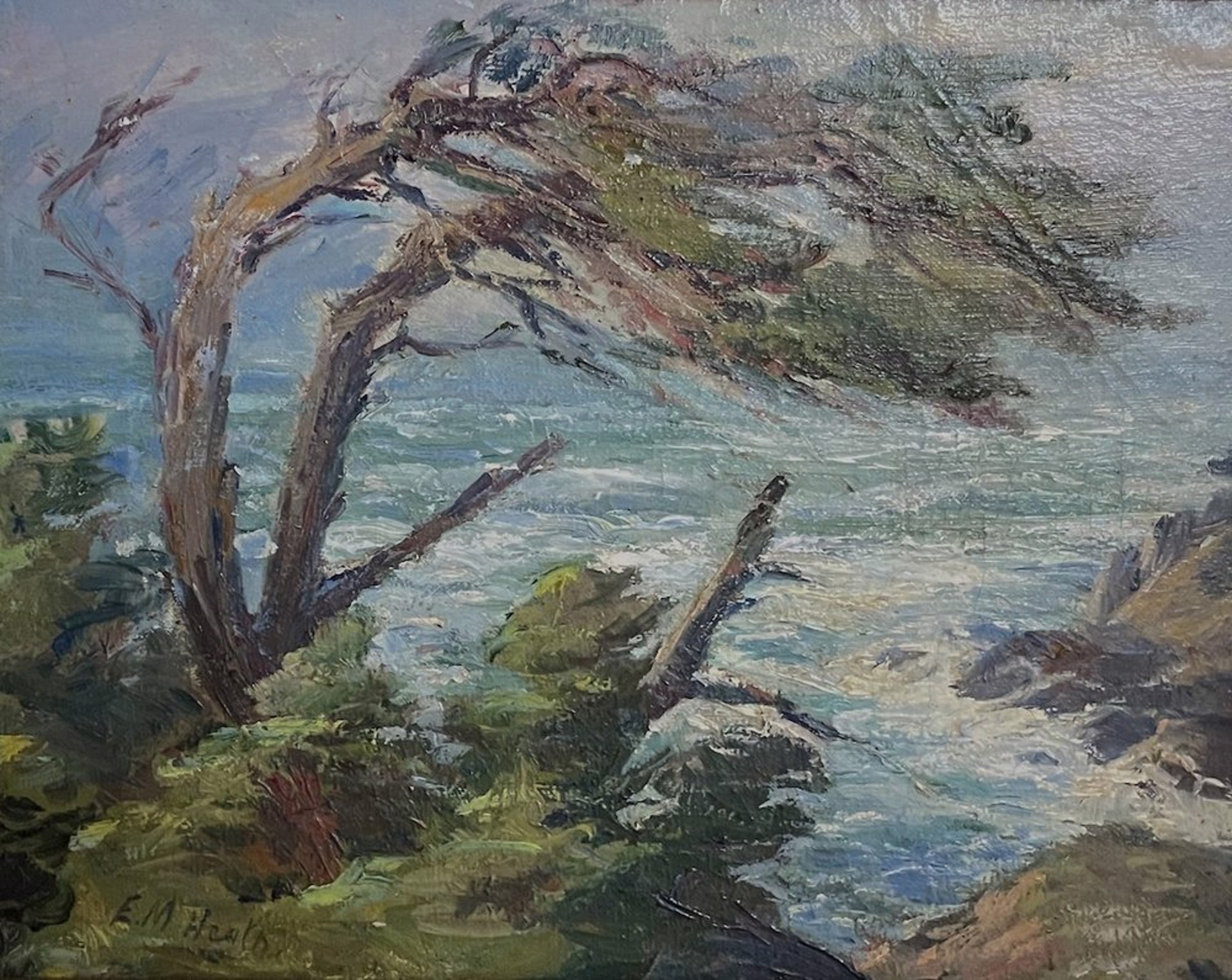 Untitled (cypress and sea, Carmel) by Edda Maxwell Heath