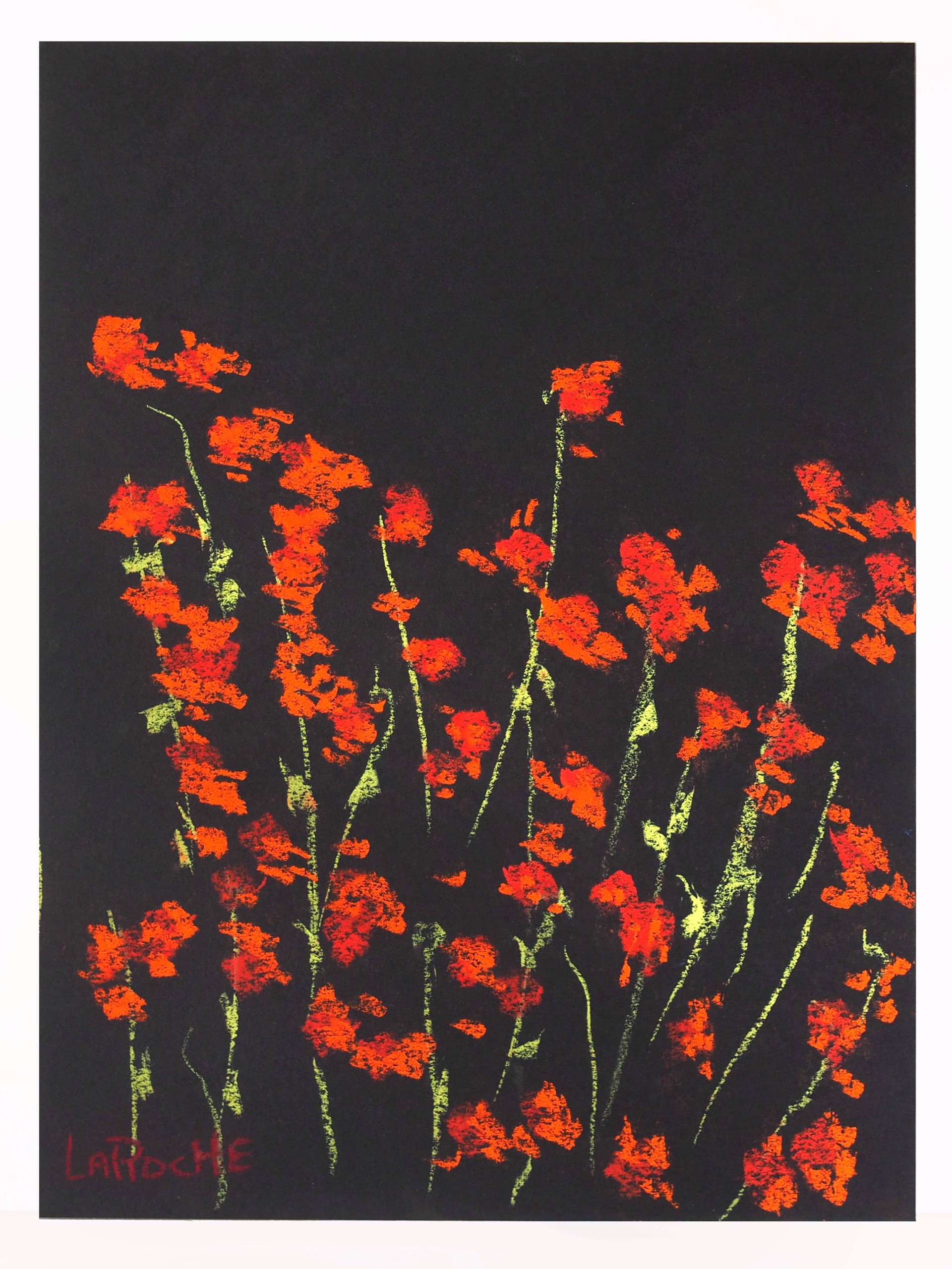 Carole's Garden: Oriental Poppies by Carole LaRoche