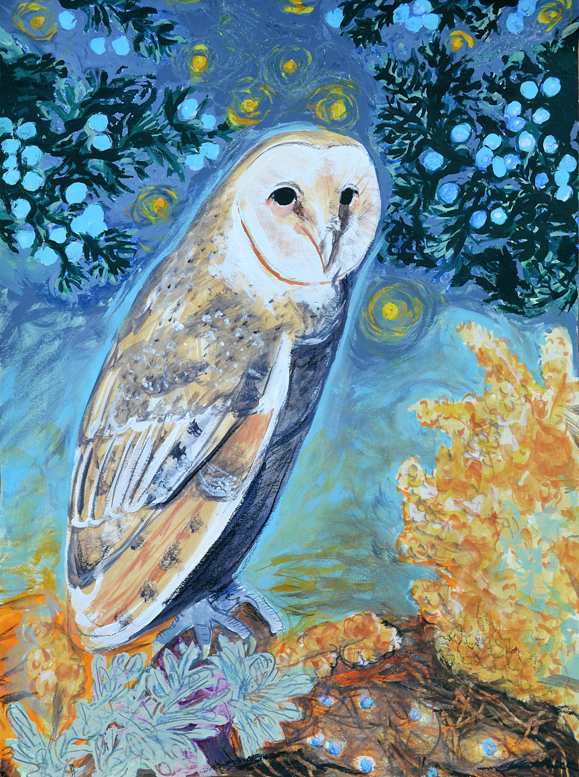 Barn Owl by Kat Kinnick