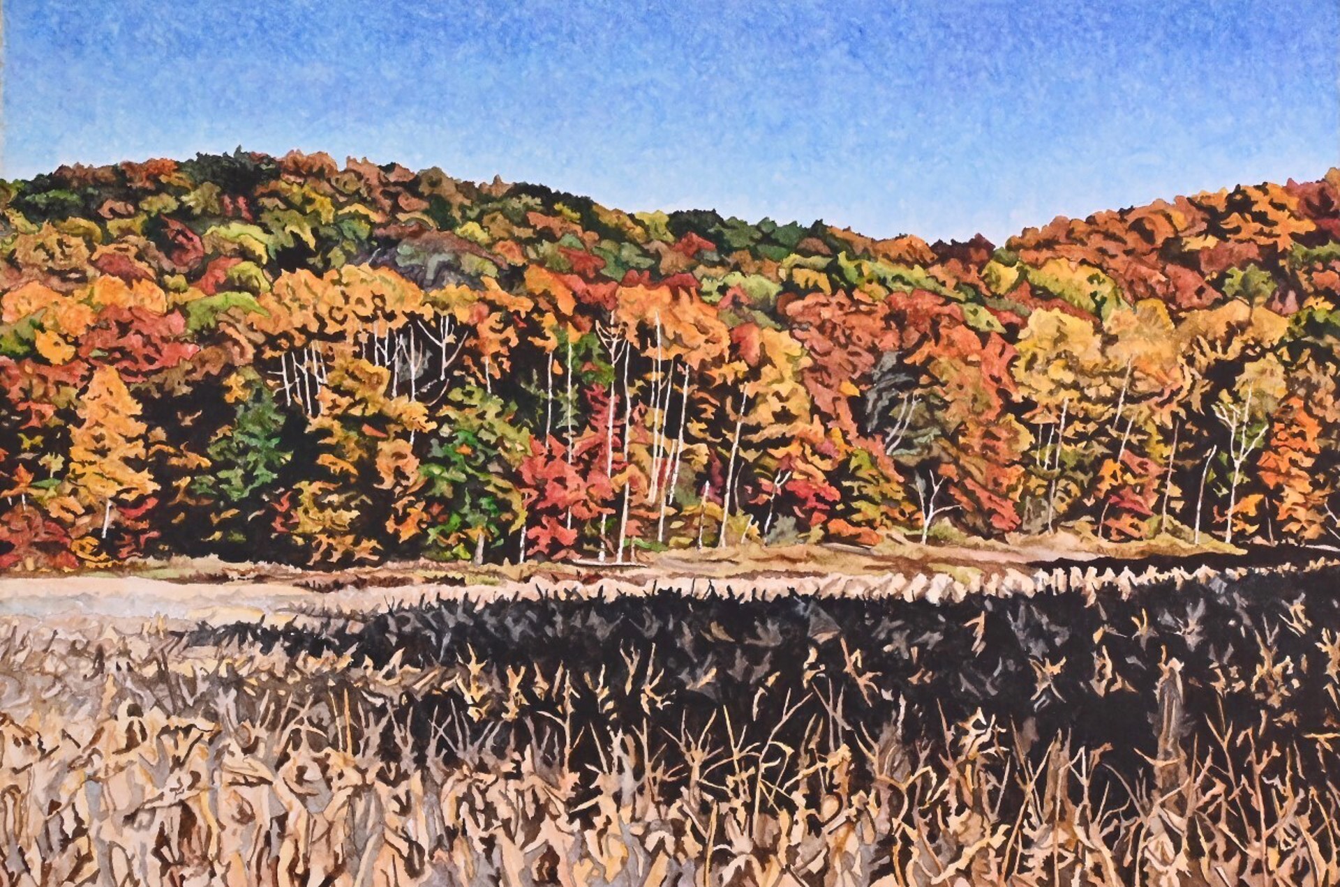 Harvest by Ken Schneider