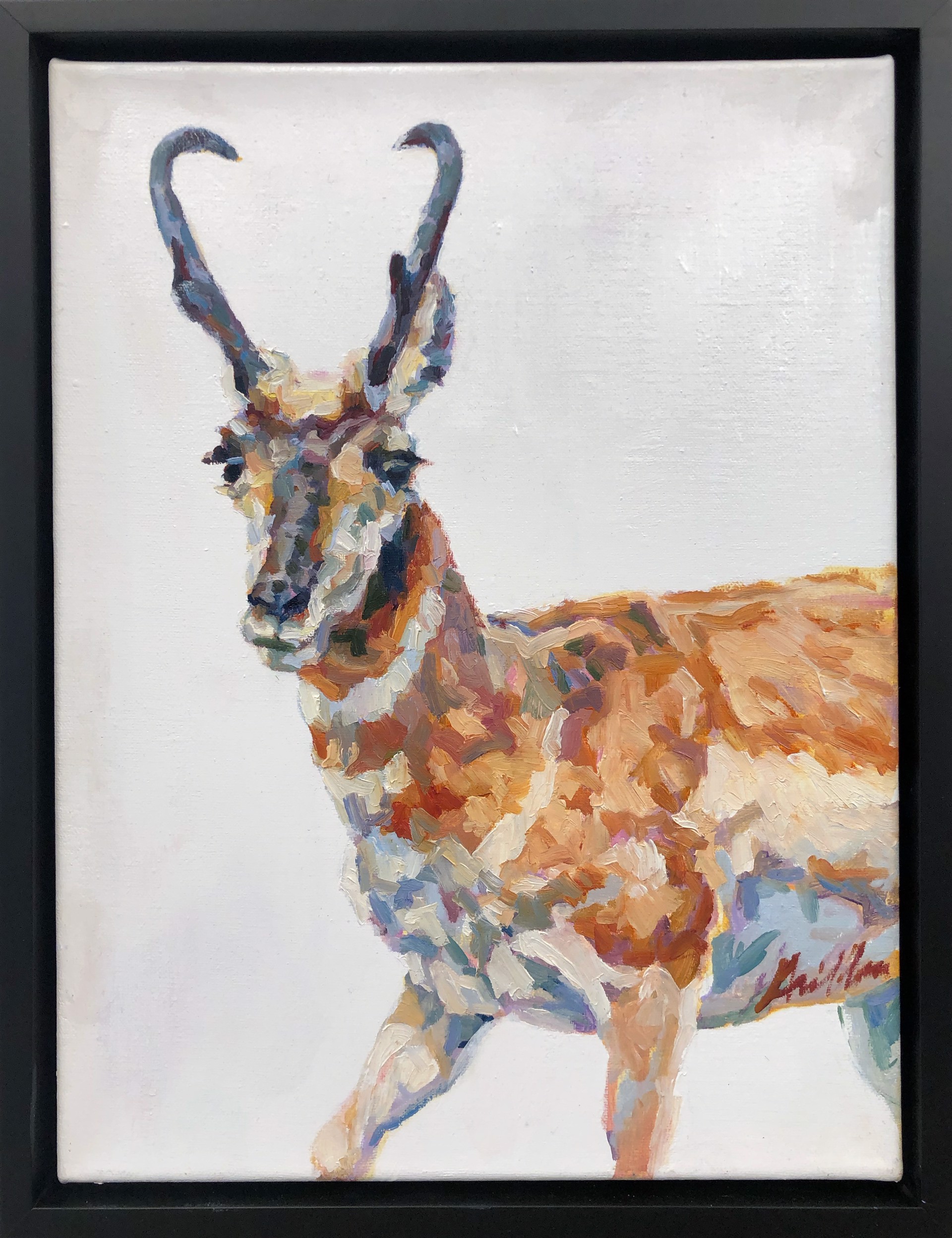 A Contemporary Oil Painting Of A Male Pronghorn Portrait with A White Background, By Patricia Griffin
