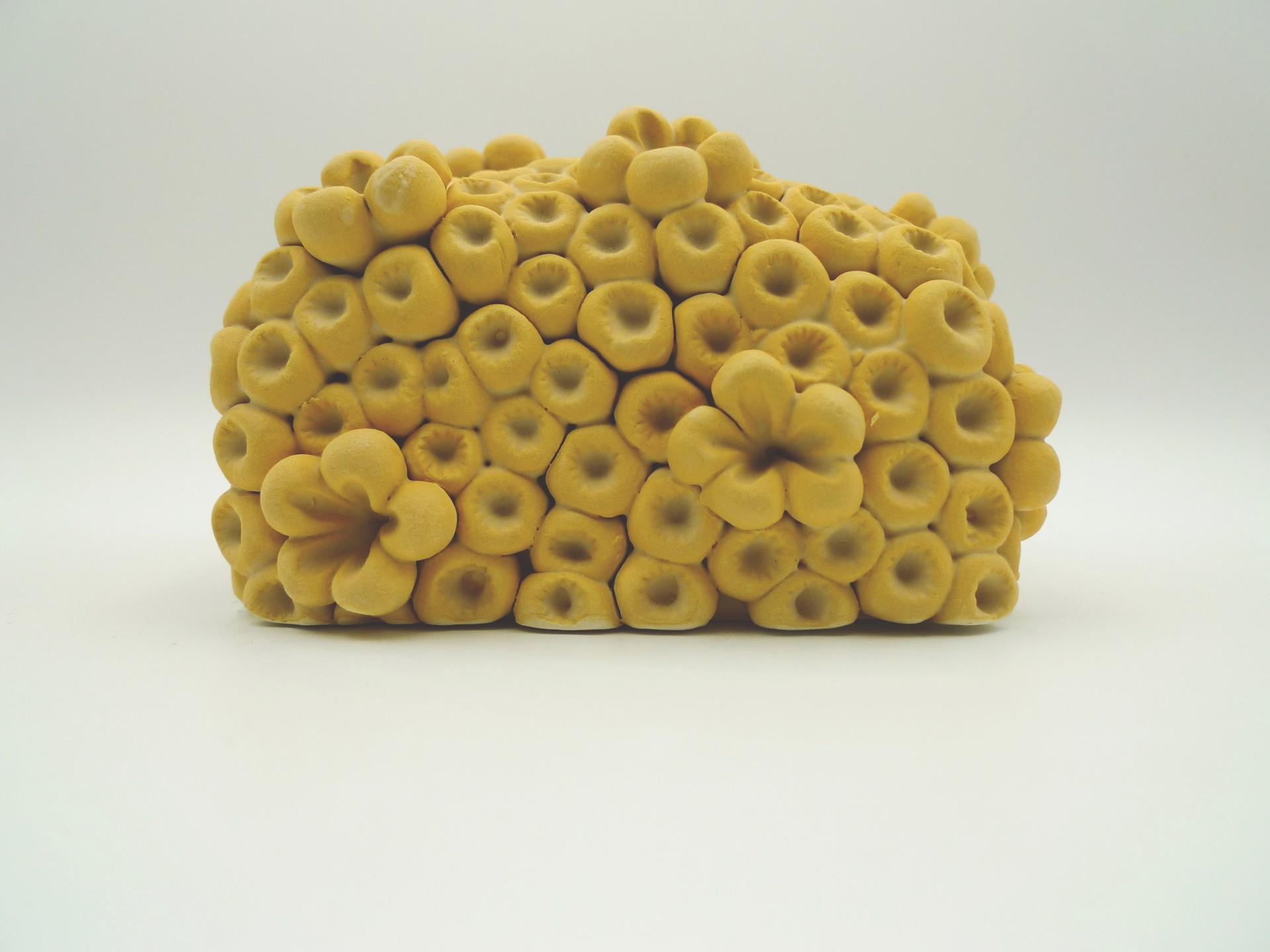 Yellow Wall Box by Rachelle Miller