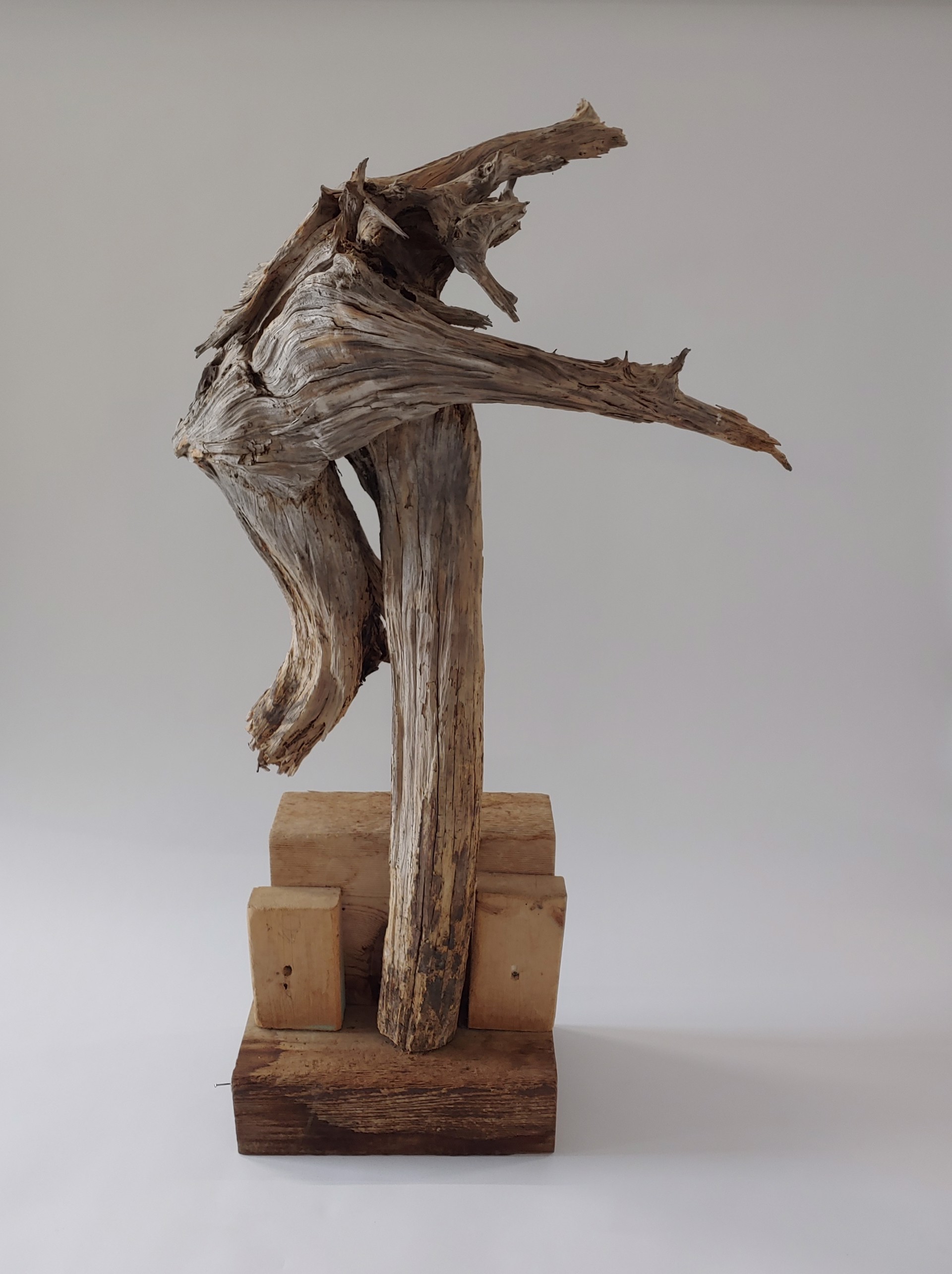 Abstract  #4 - Wood Sculpture, unfinished by David Amdur