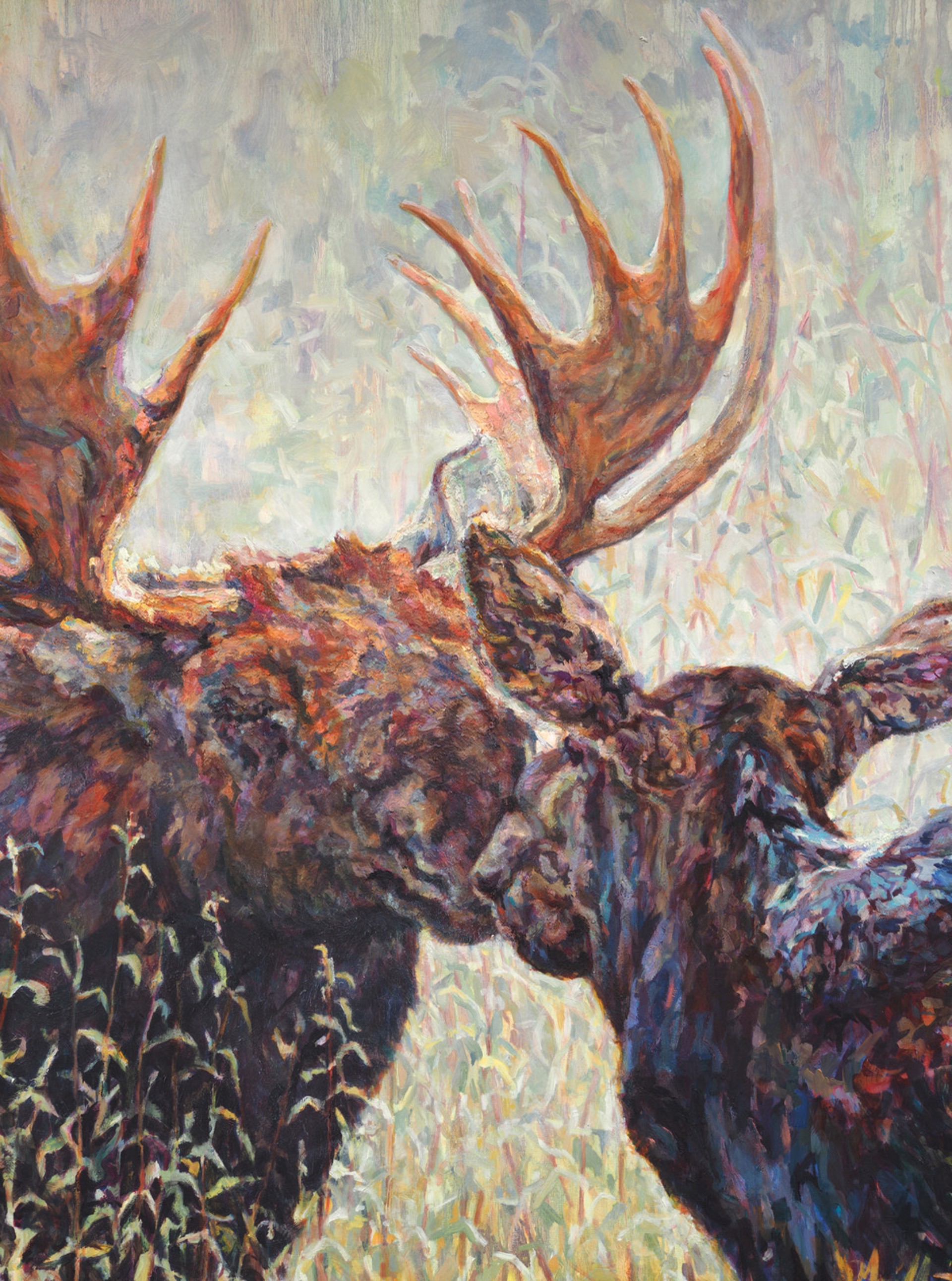 Original Oil Painting Of Bull Moose And Cow Kissing Noses In Contemporary Colorful Style,  By Patricia Griffin