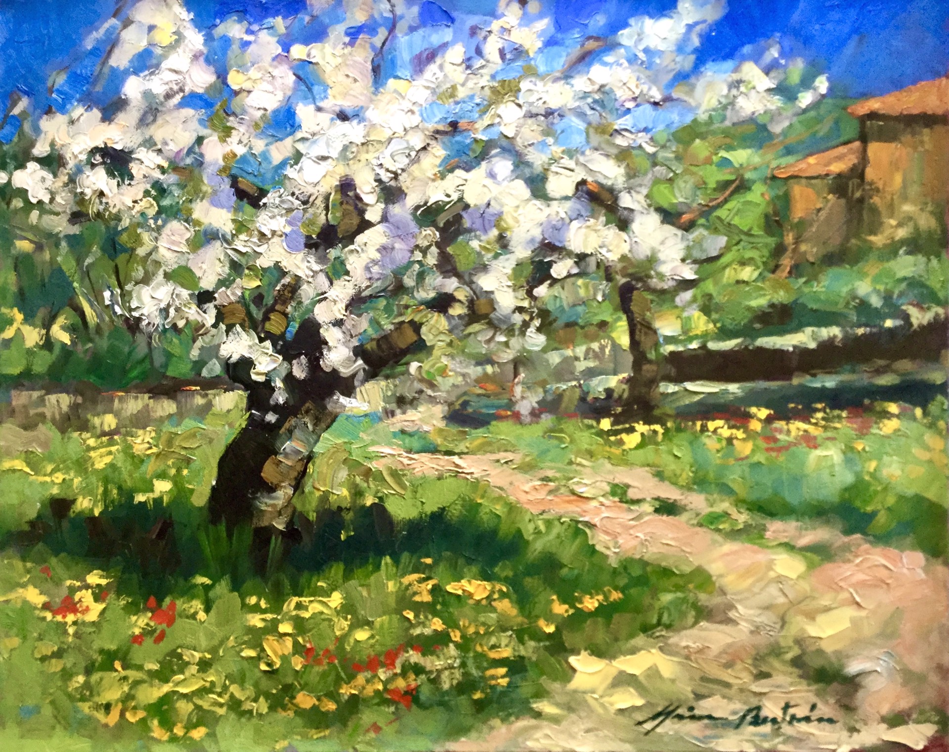 Sophie's Cherry Tree by Maria Bertrán