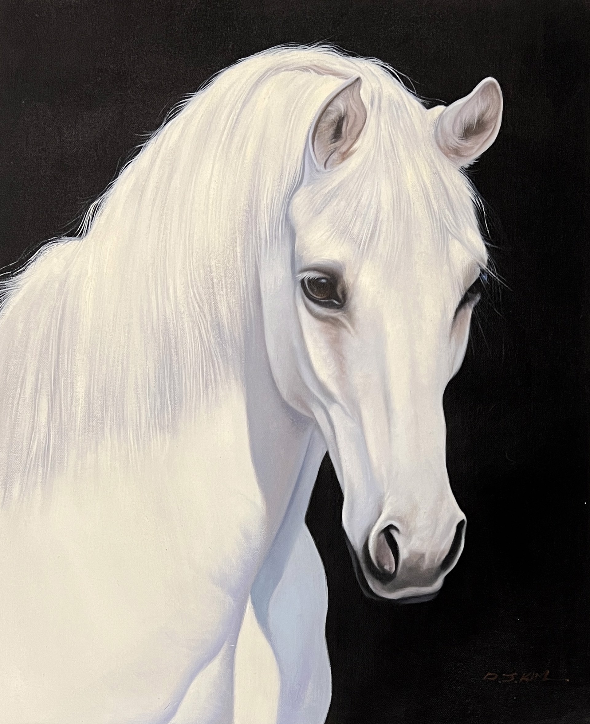 WHITE HORSE by DJ KIM