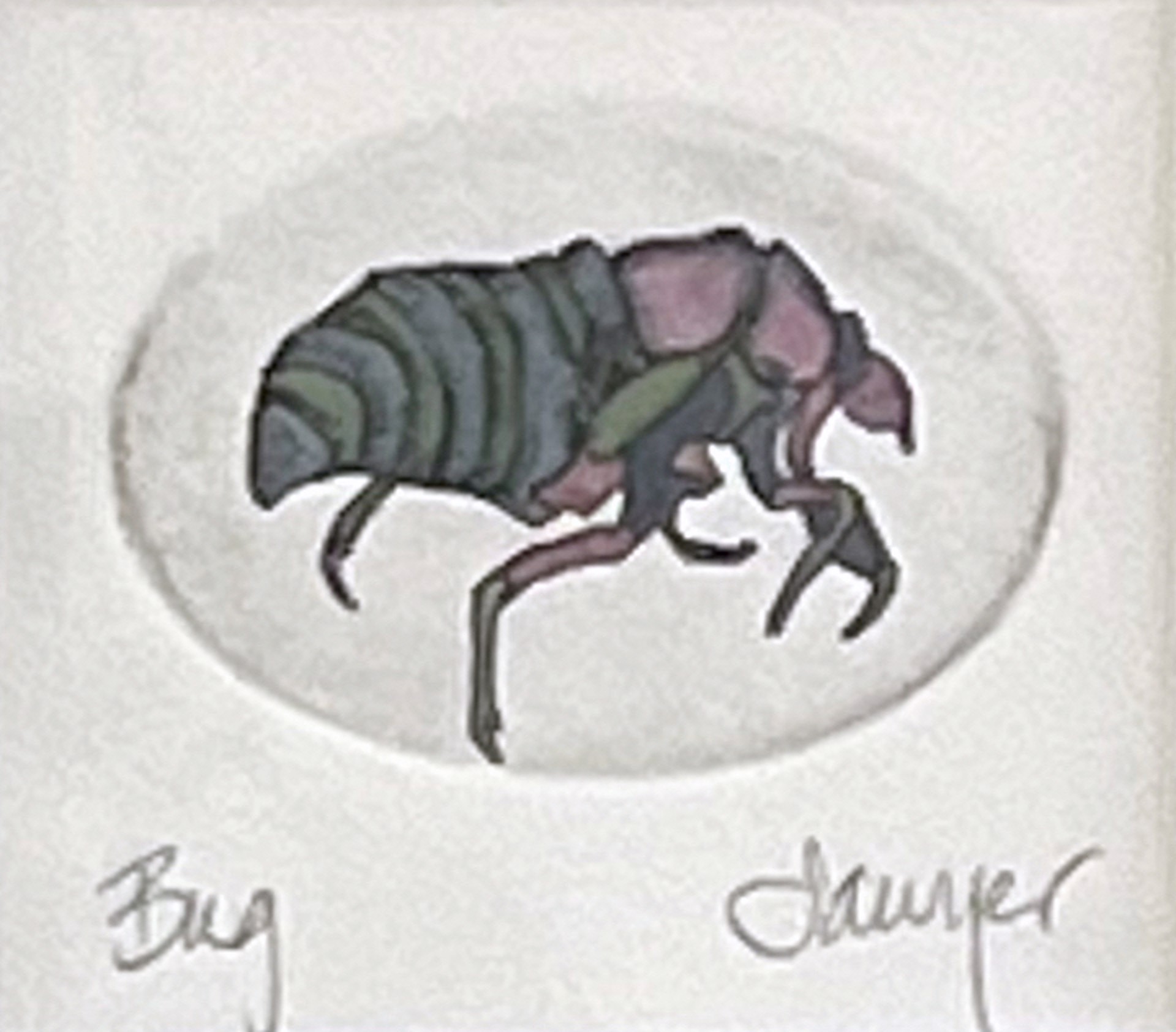 Bug (framed) by Anne Sawyer